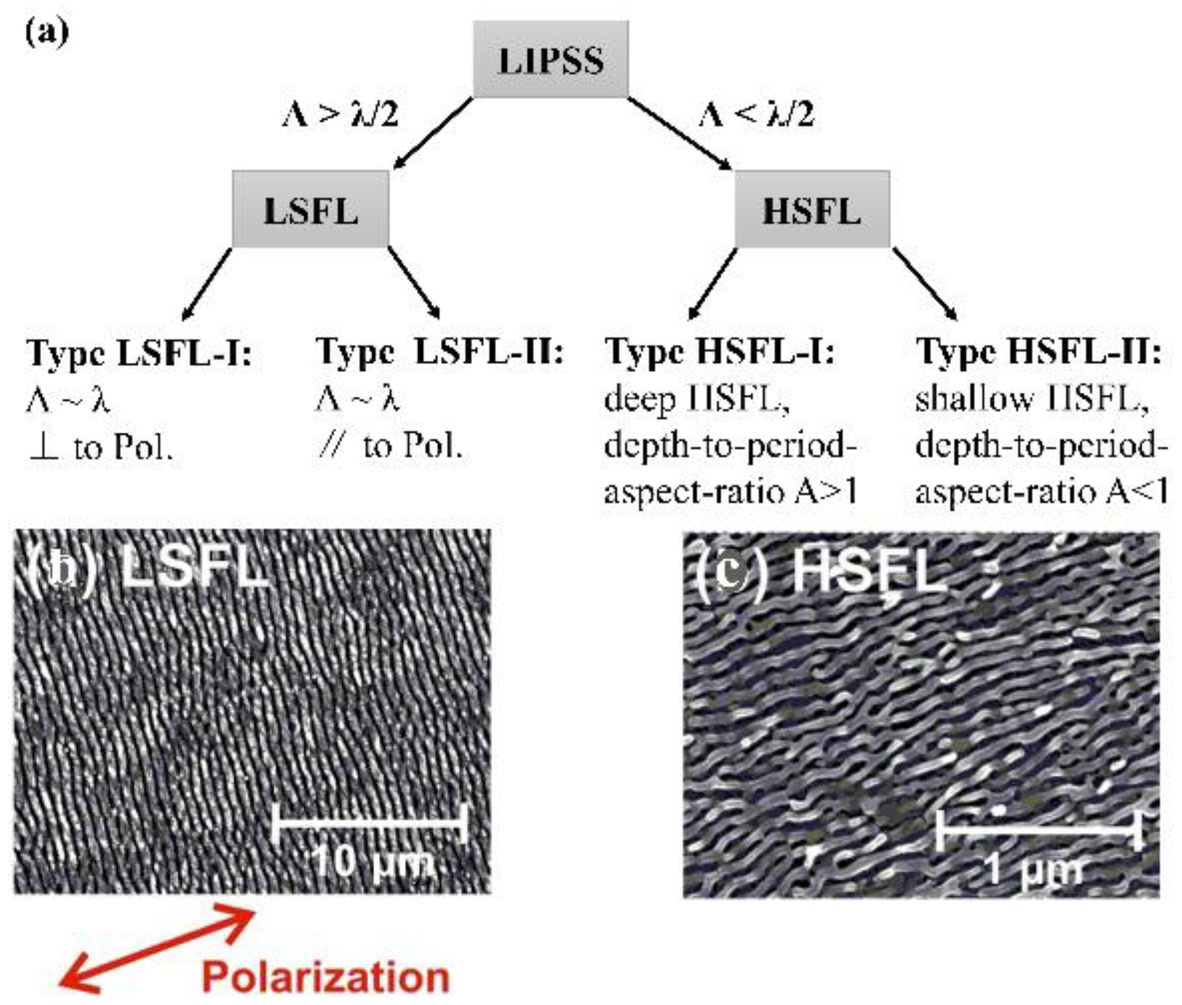Coatings 12 01596 g001