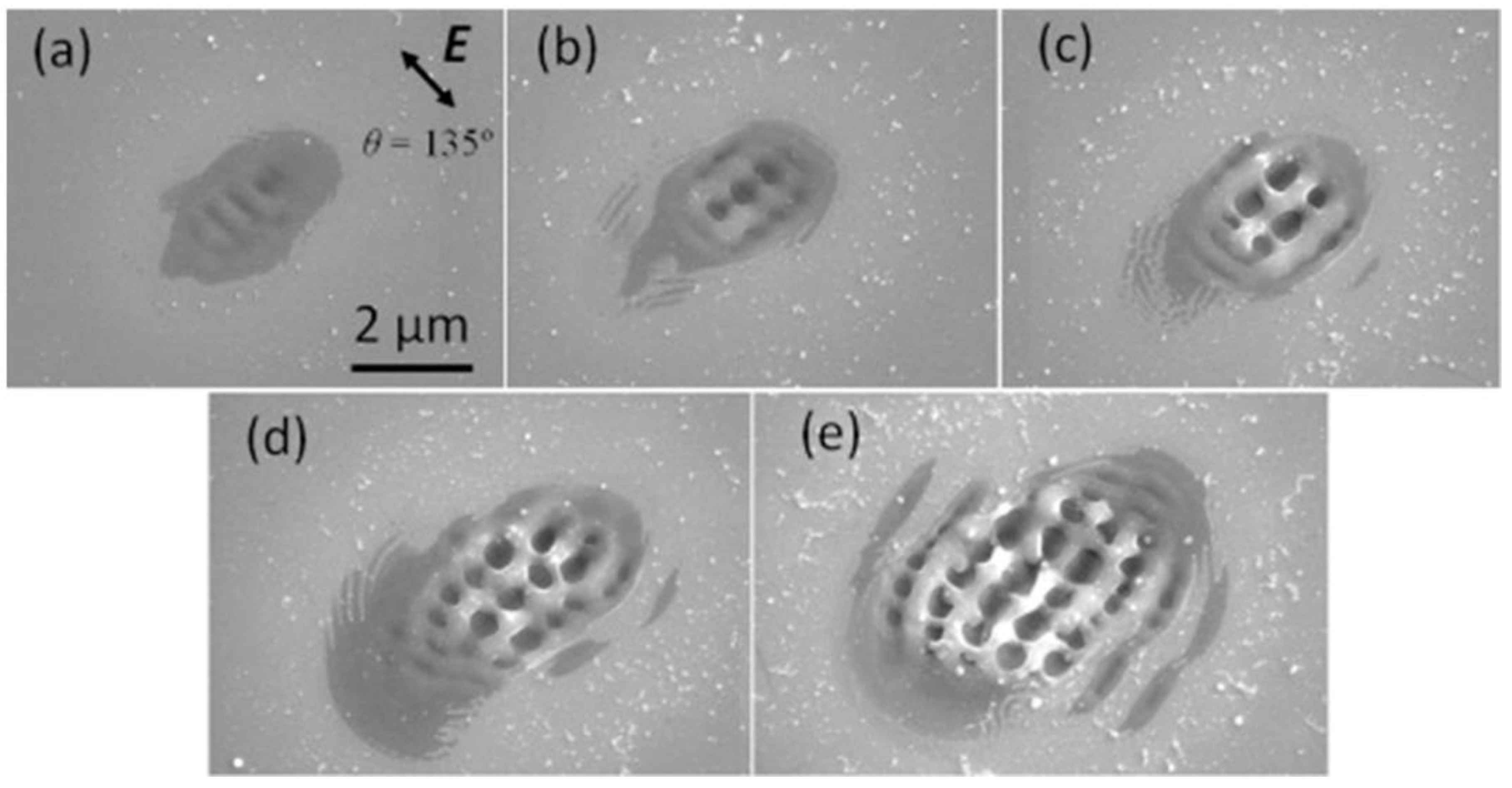 Coatings 12 01596 g004