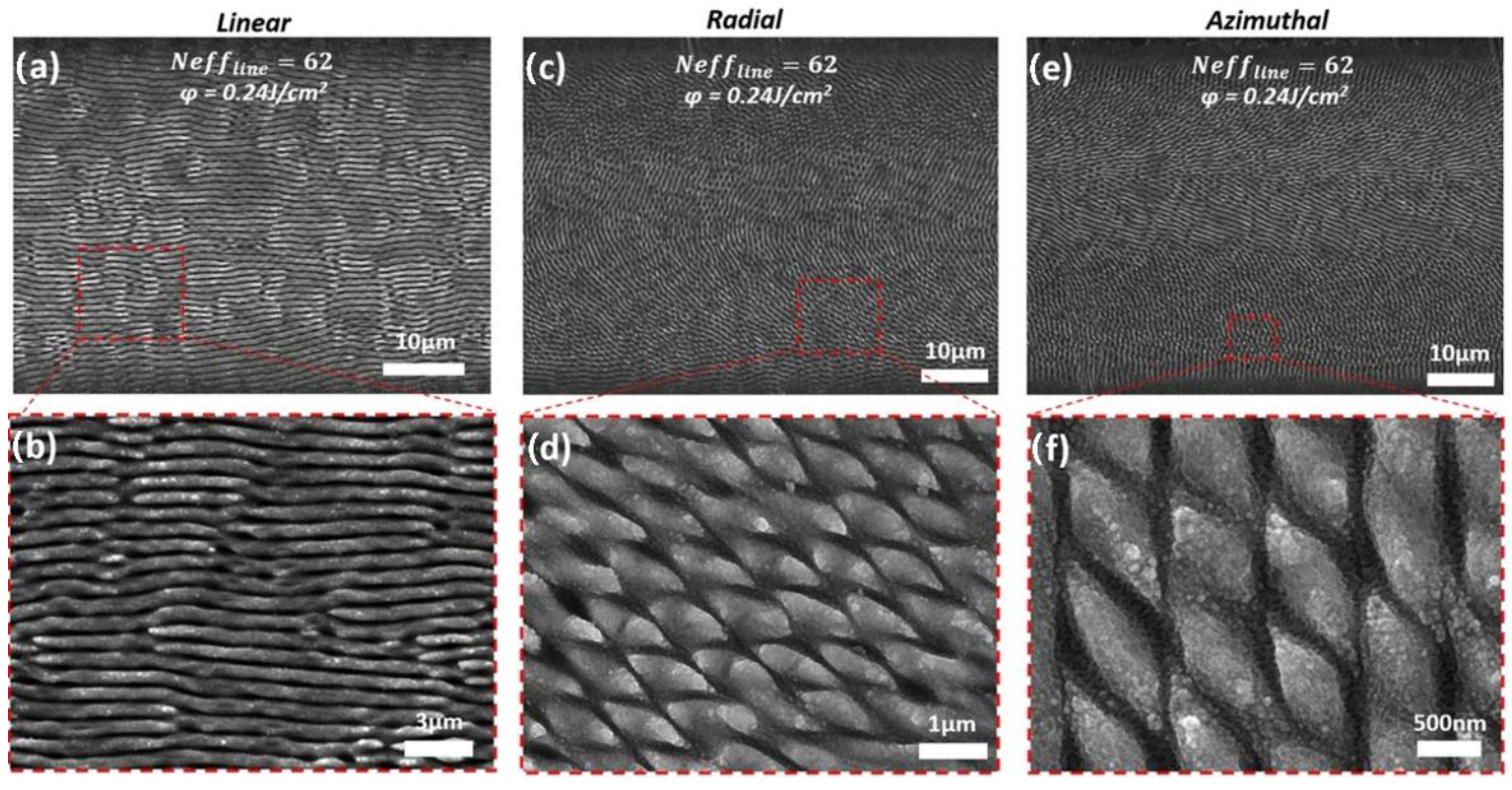 Coatings 12 01596 g005