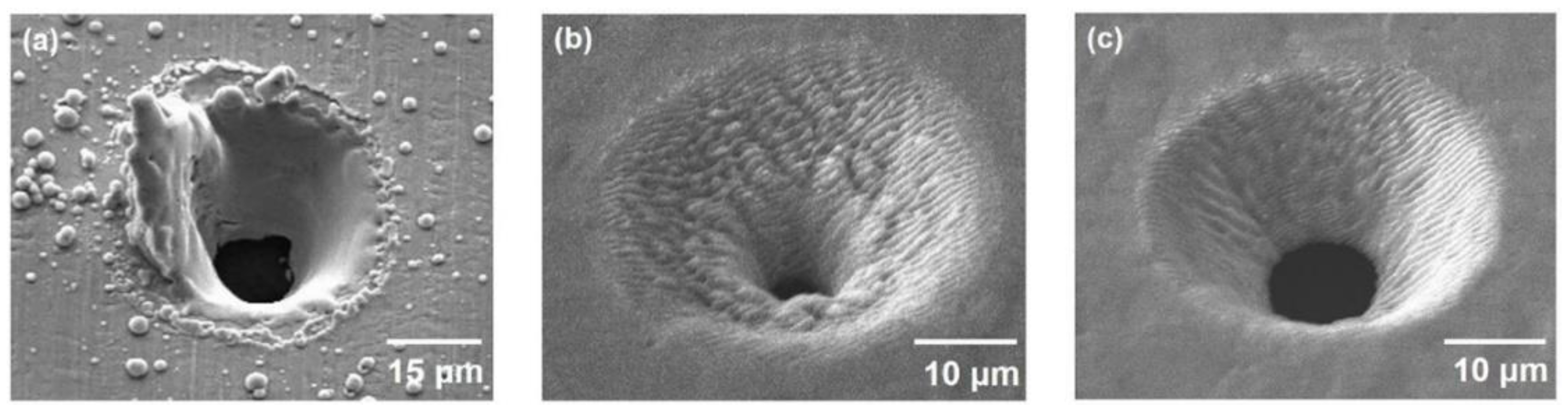 Coatings 12 01596 g006