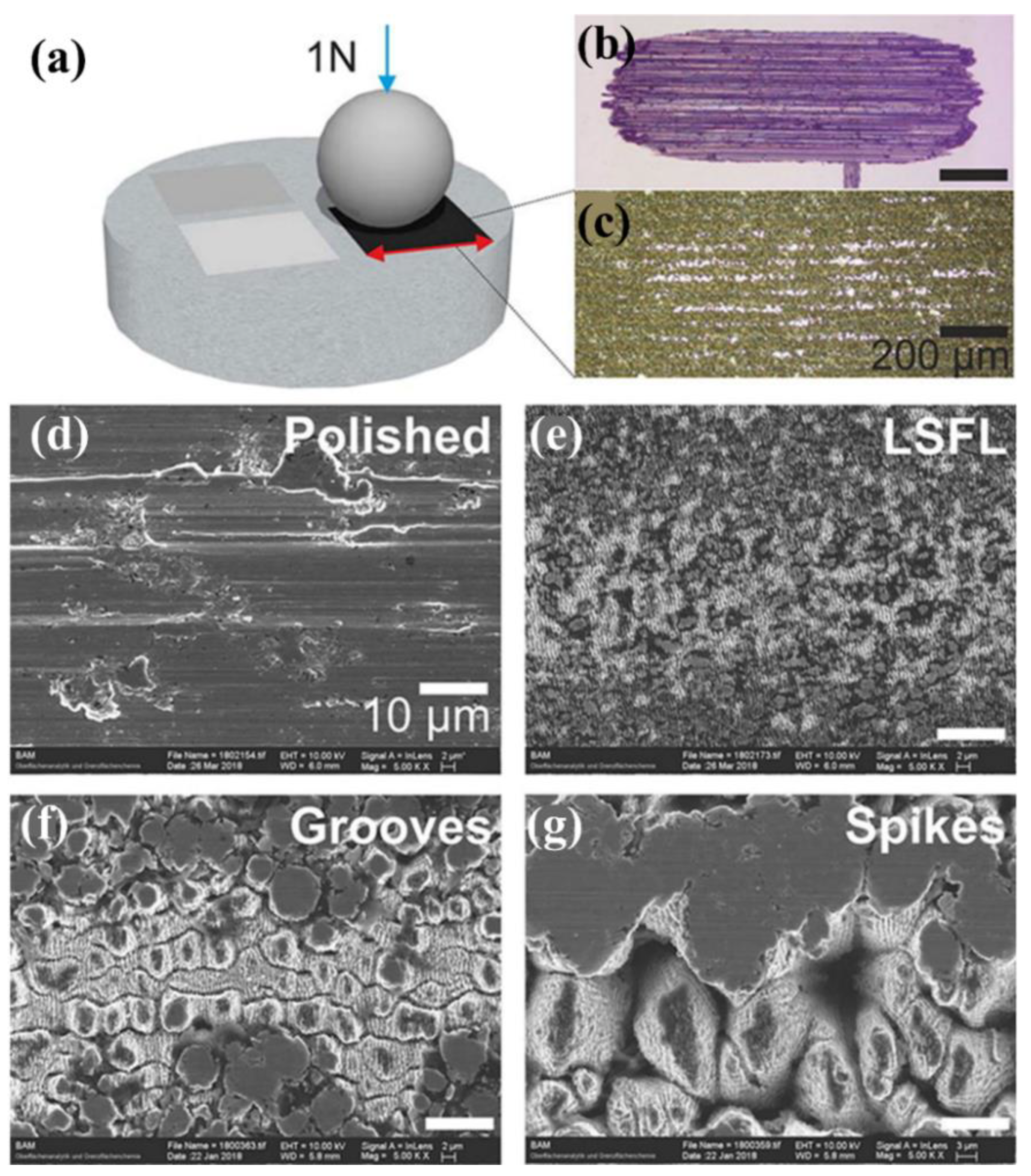 Coatings 12 01596 g011