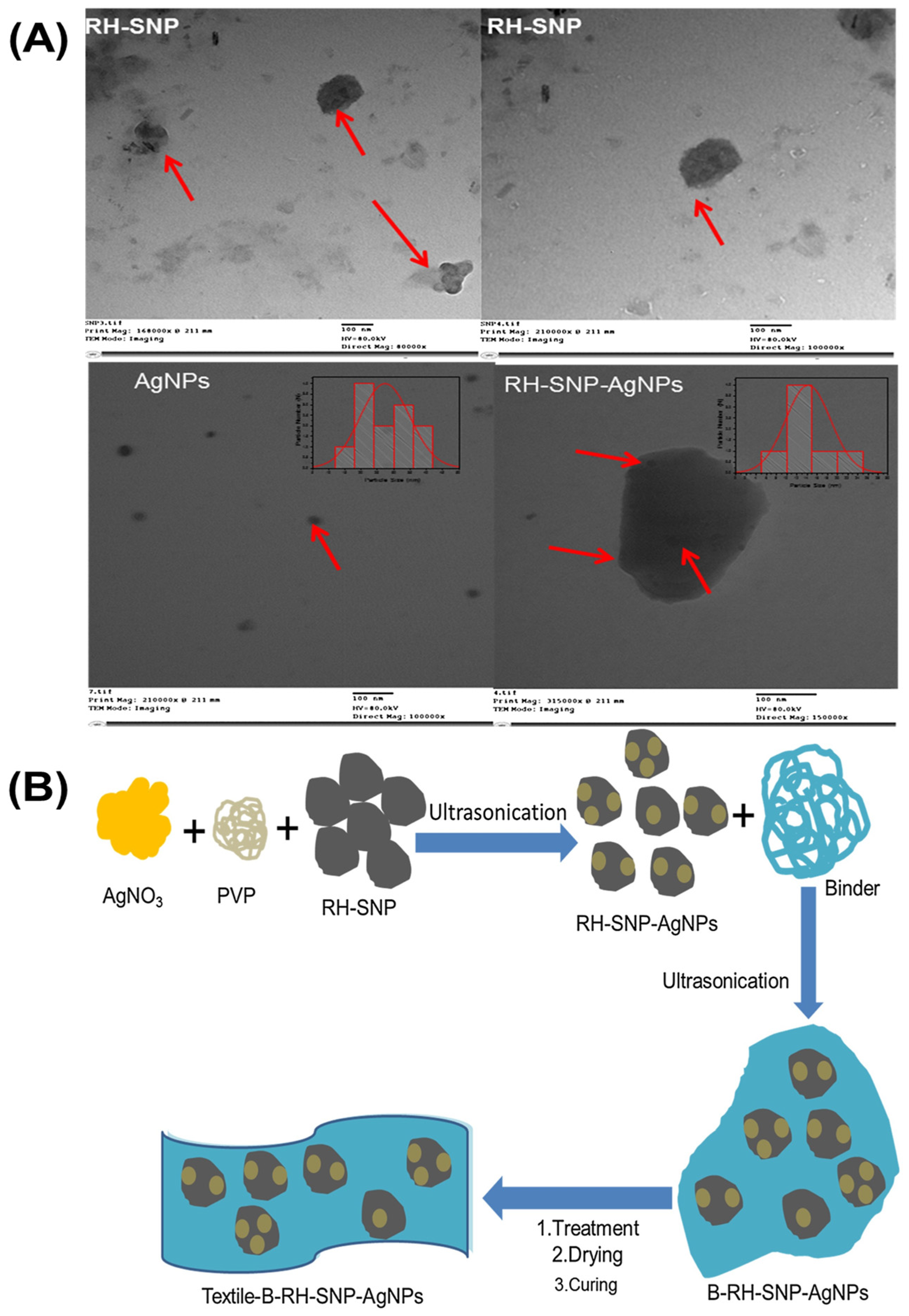 Coatings 12 01597 g006