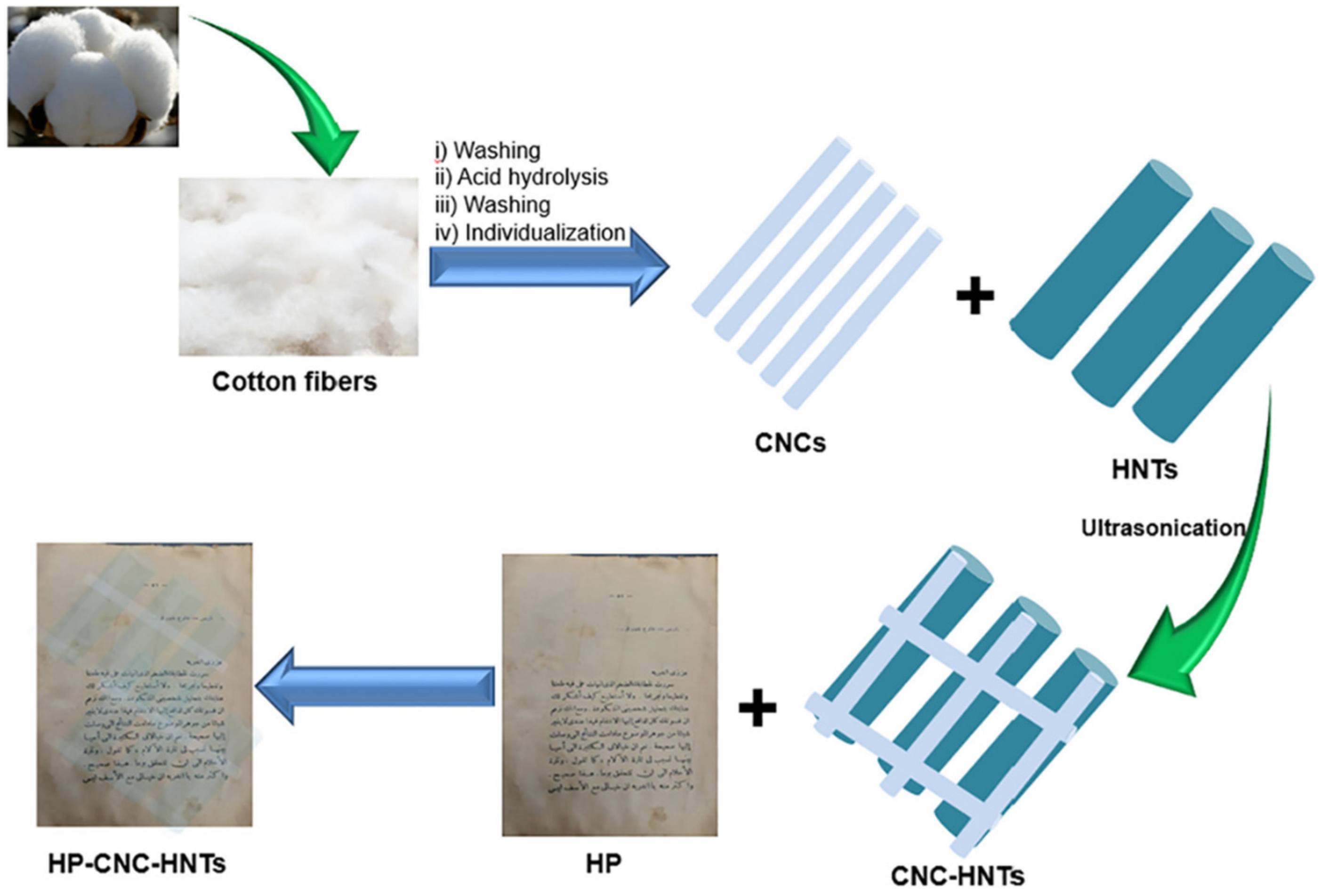 Coatings 12 01597 g008