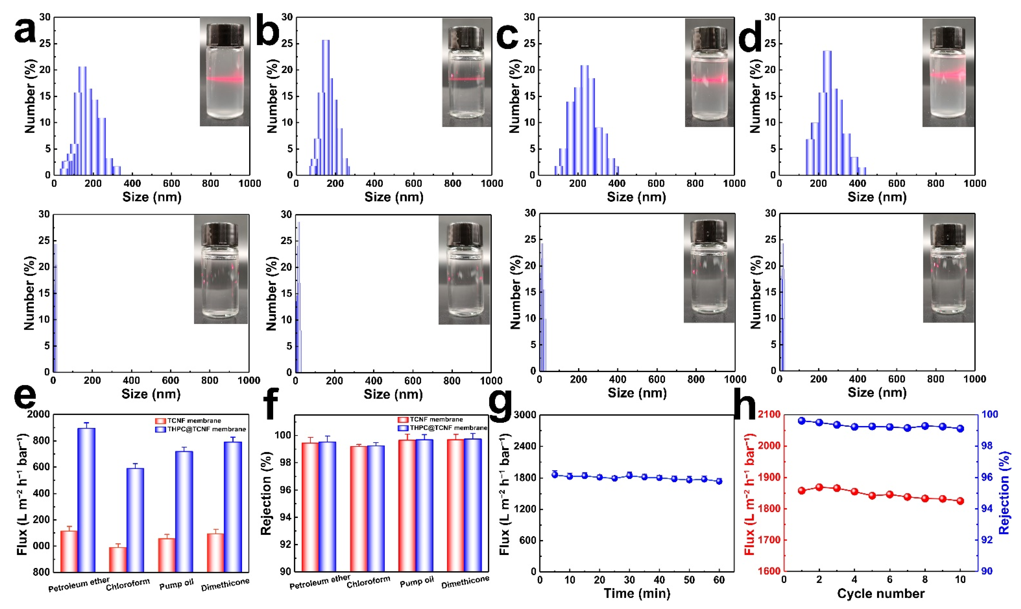 Coatings 12 01598 g005 Coatings 12 01598 g005