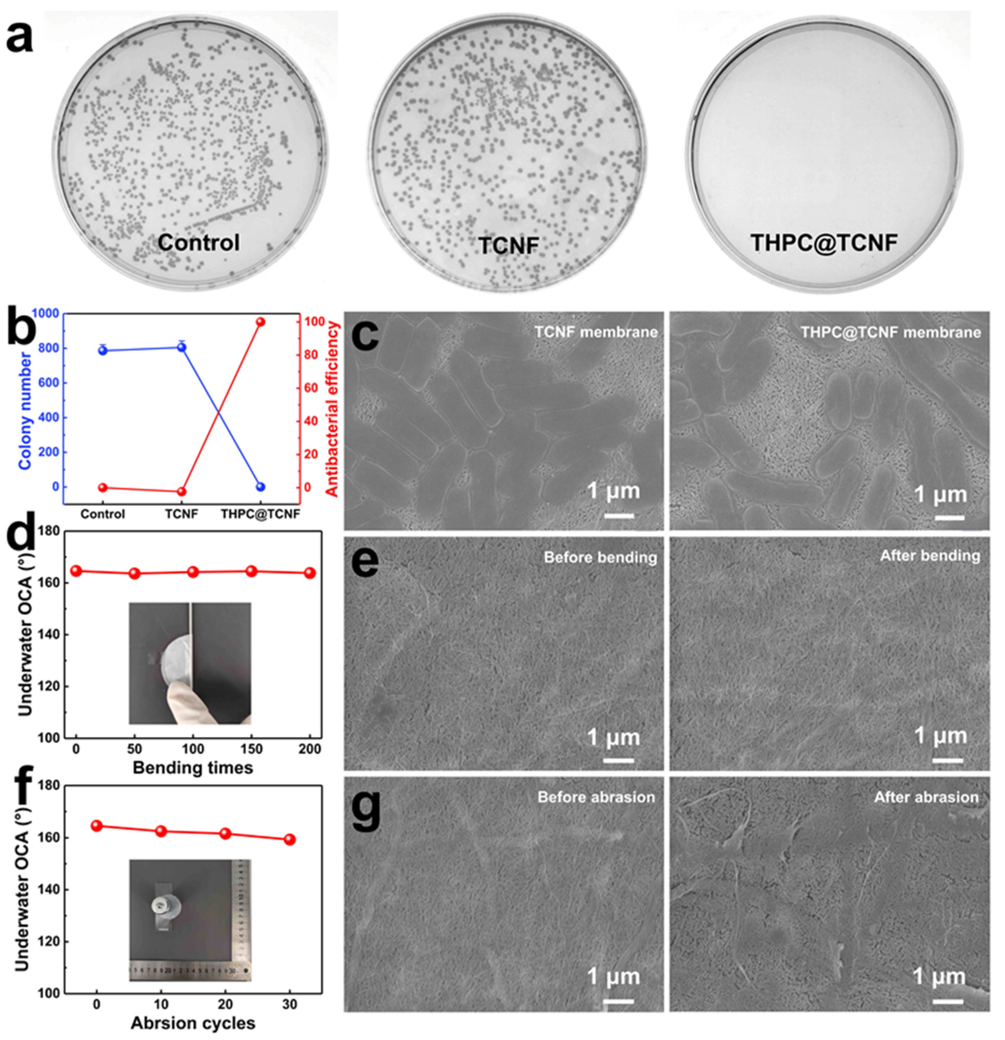 Coatings 12 01598 g006 Coatings 12 01598 g006
