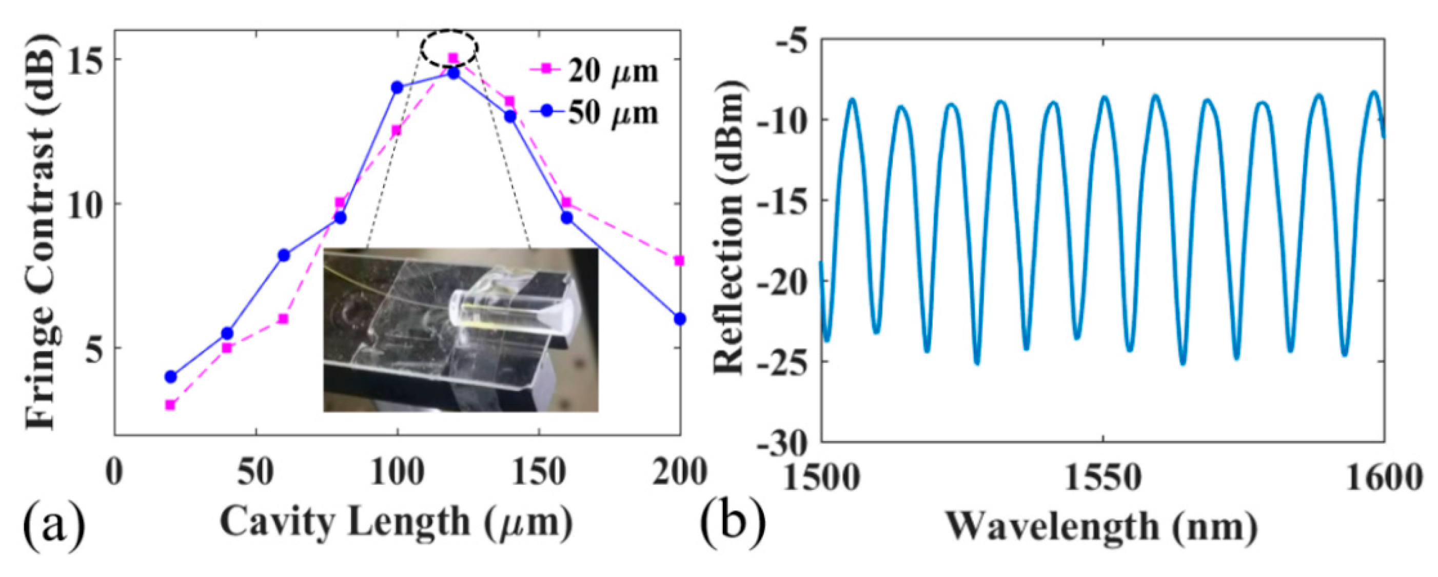 Coatings 12 01599 g005 Coatings 12 01599 g005