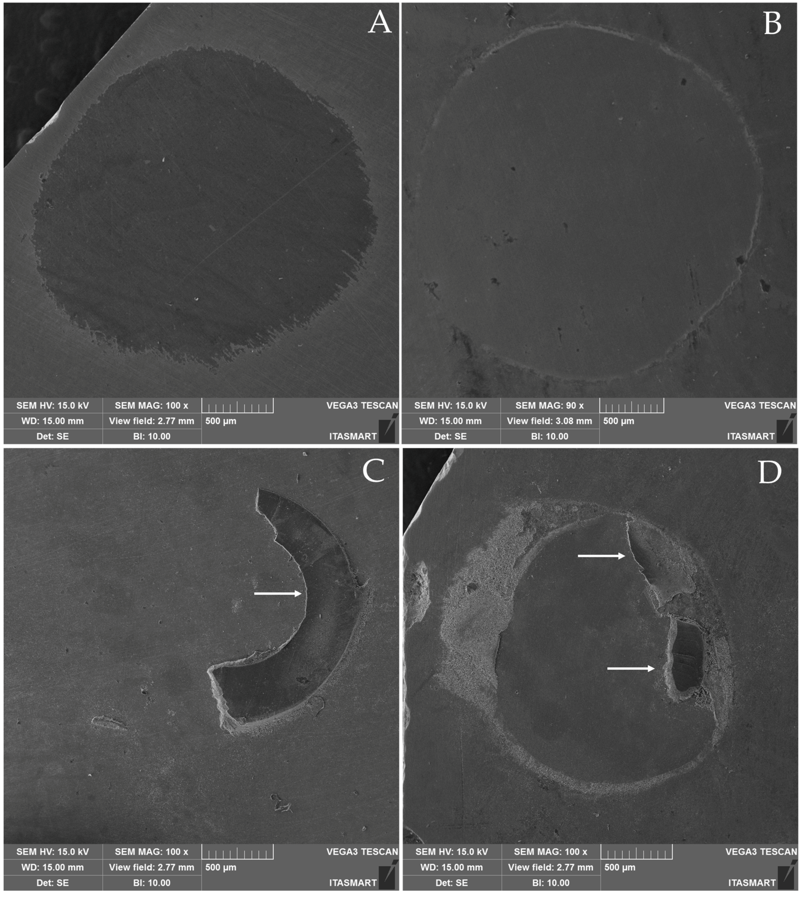 Coatings 12 01601 g003