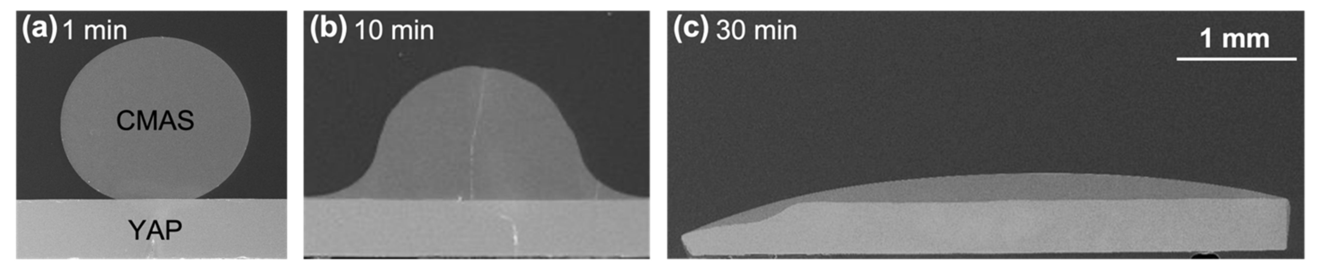 Coatings 12 01604 g001