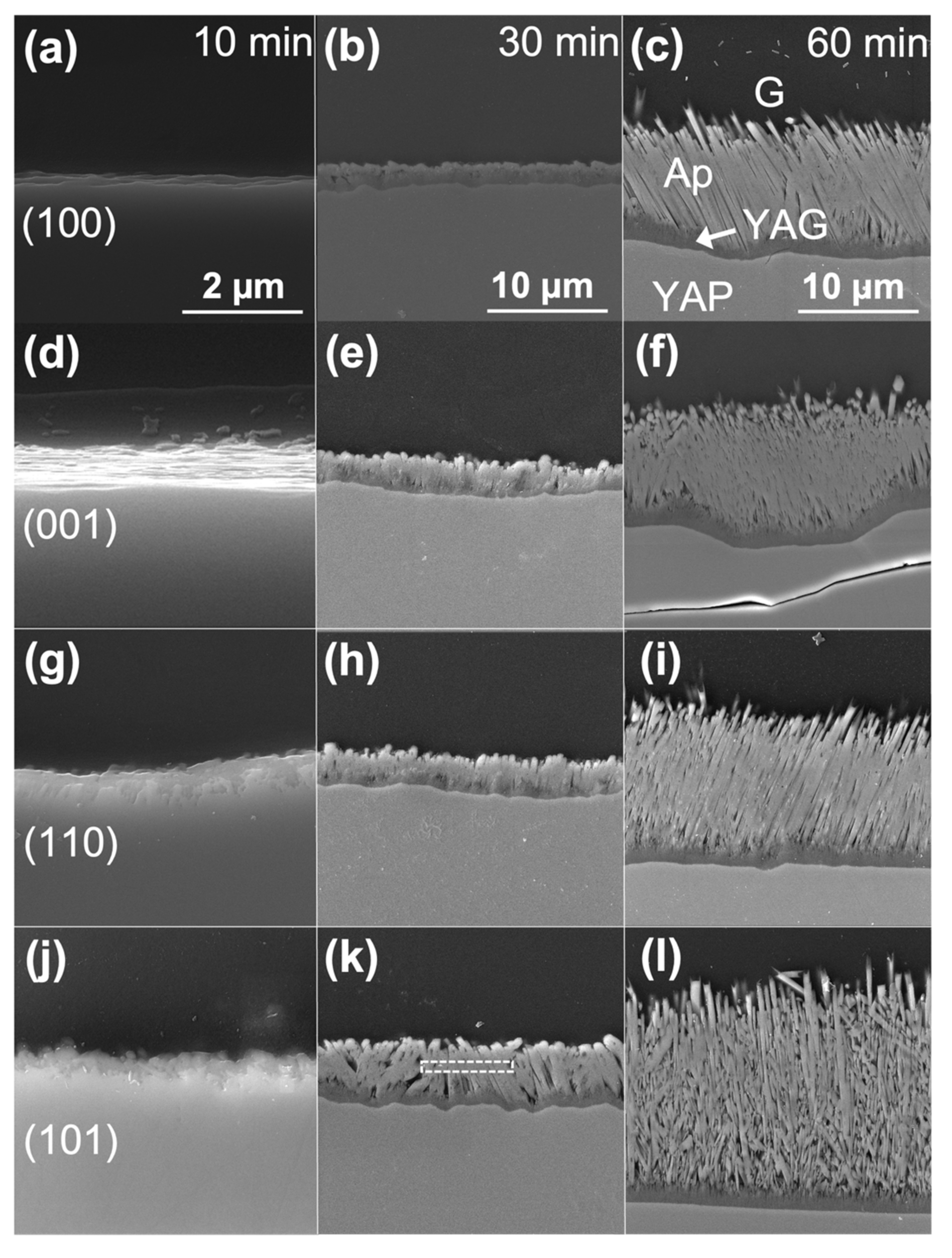 Coatings 12 01604 g005