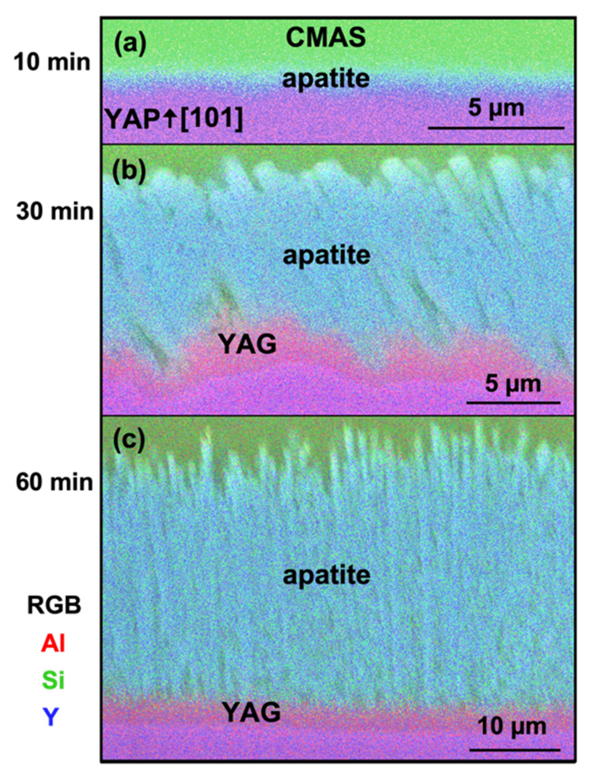 Coatings 12 01604 g006