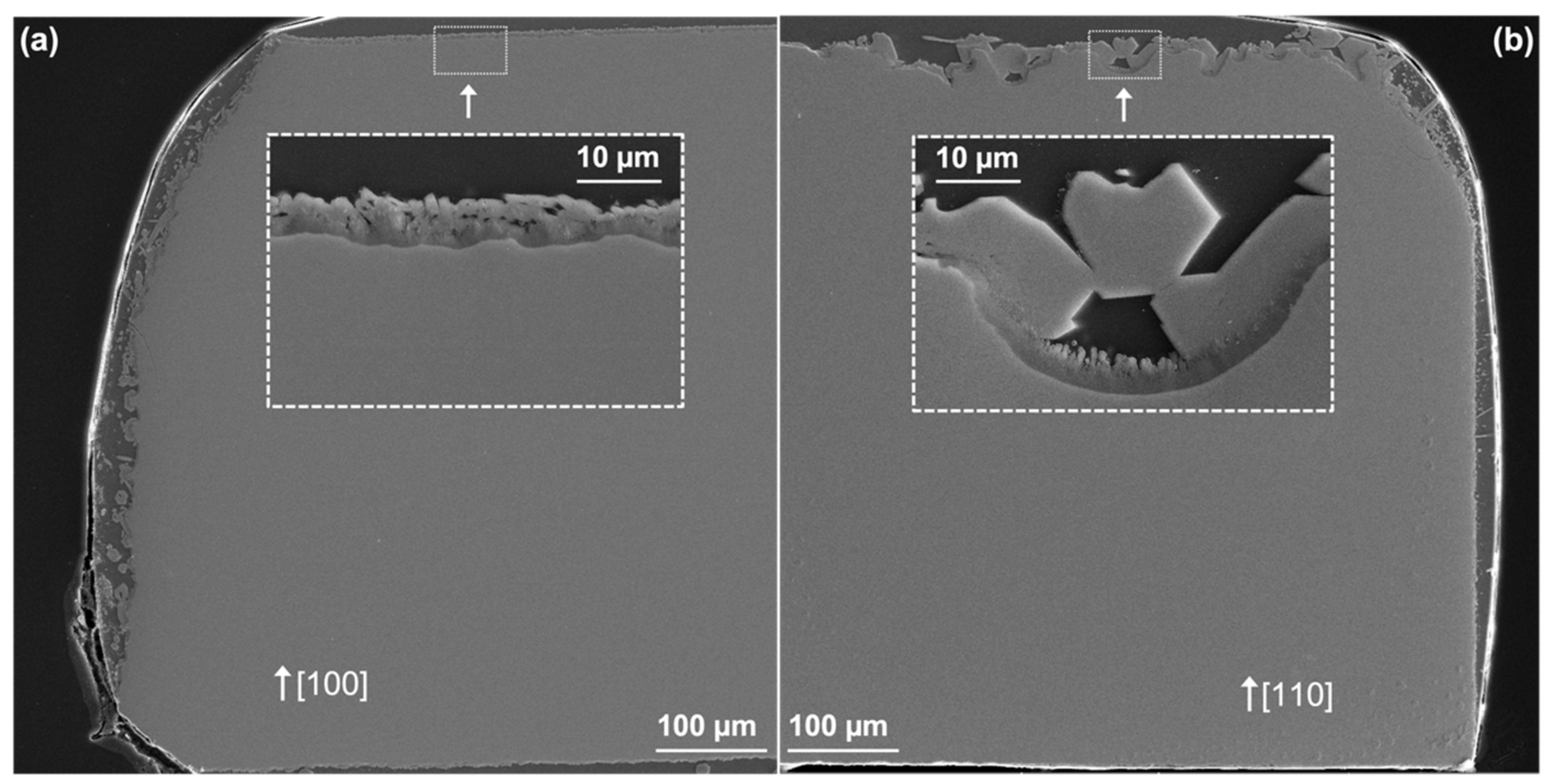Coatings 12 01604 g009