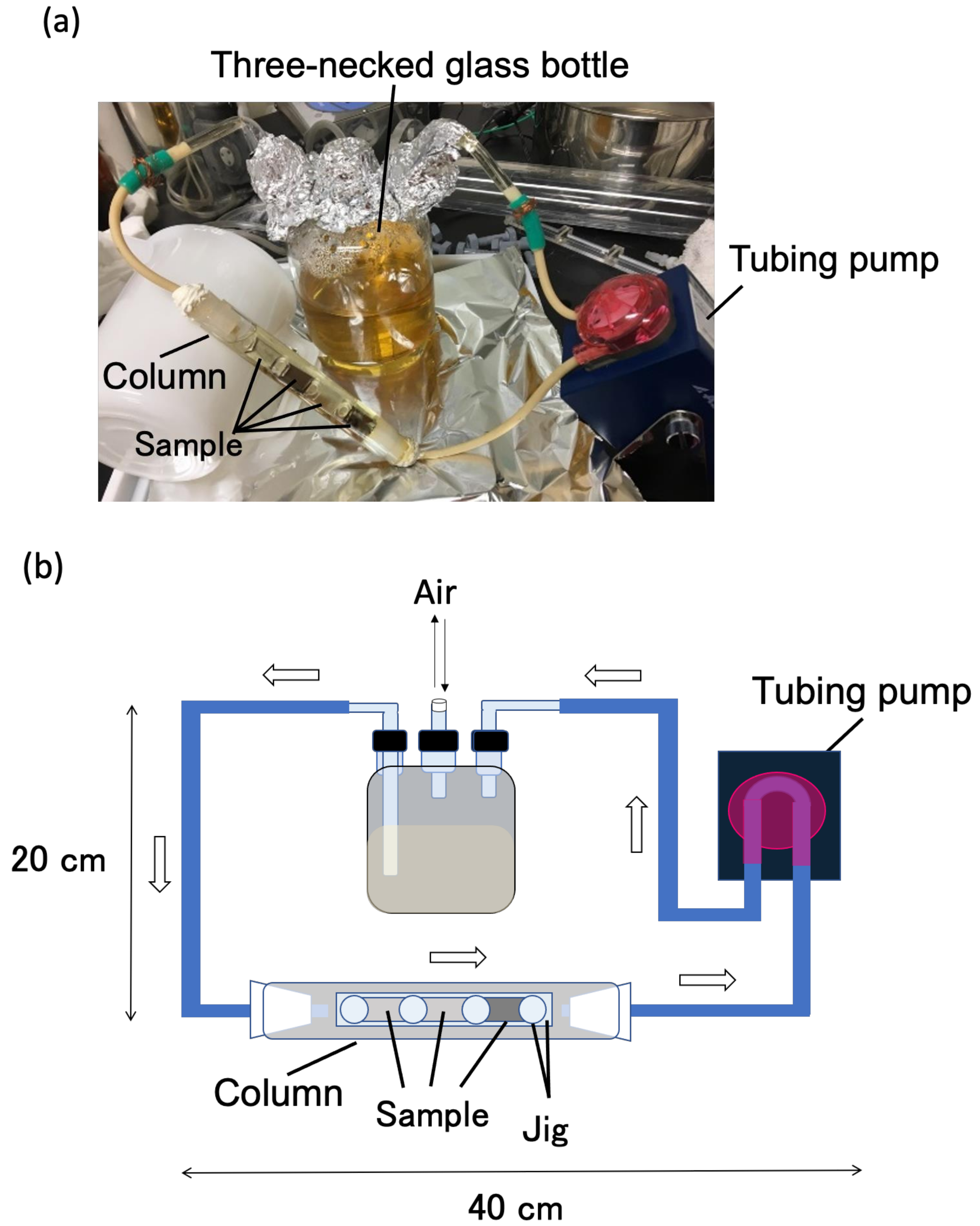 Coatings 12 01605 g001 Coatings 12 01605 g001