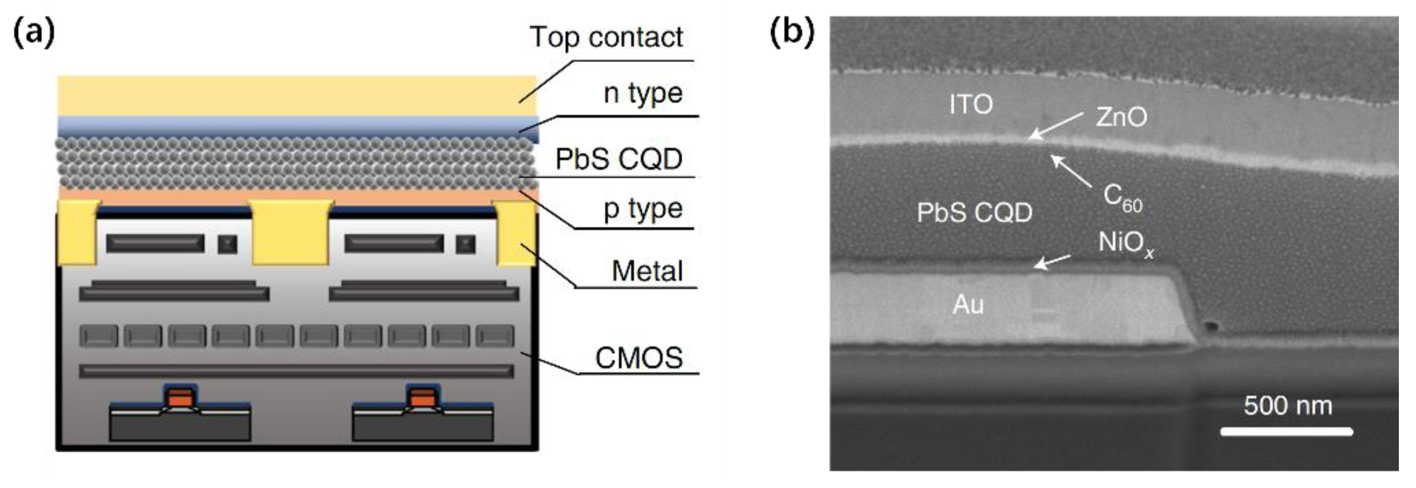 Coatings 12 01609 g005