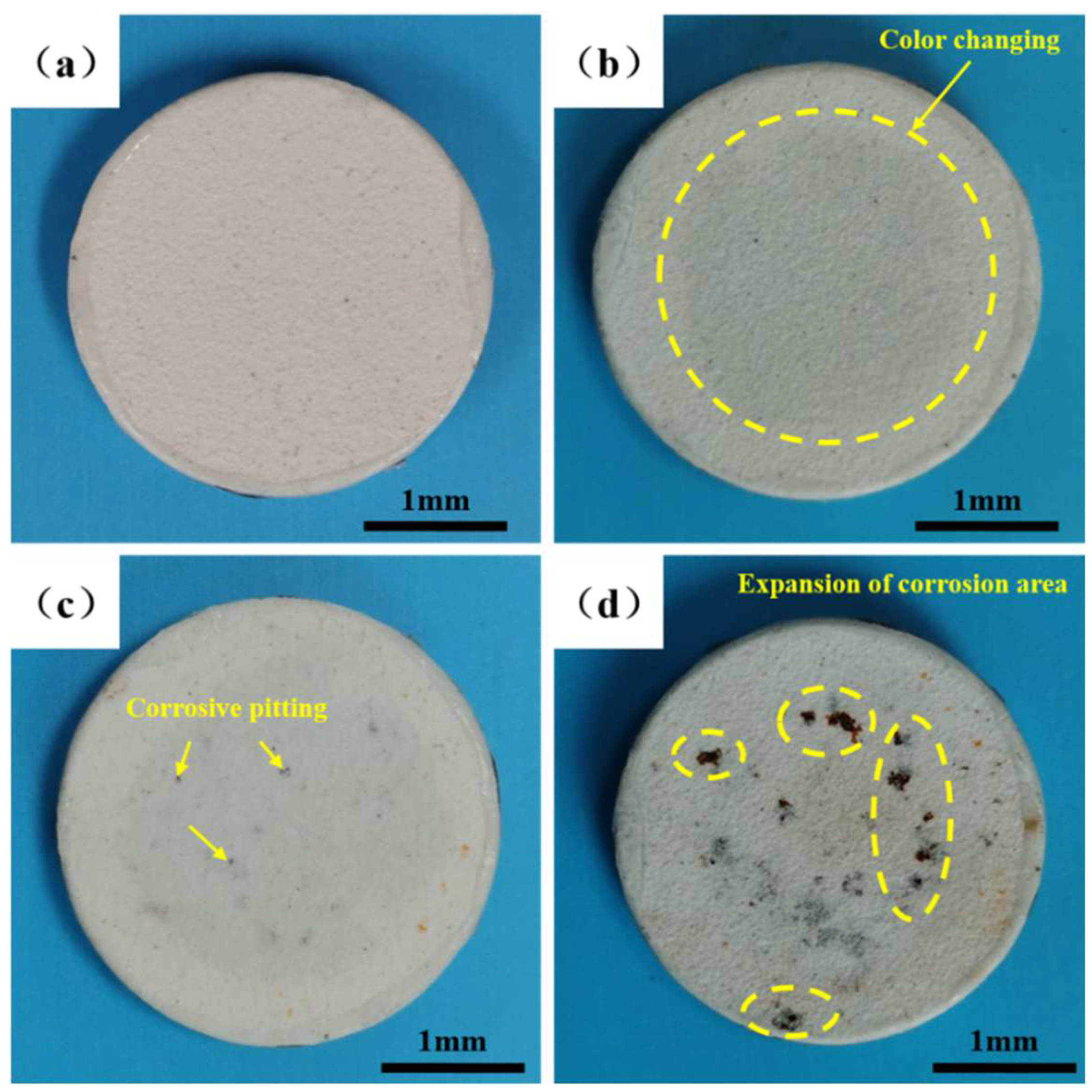 Coatings 12 01611 g003