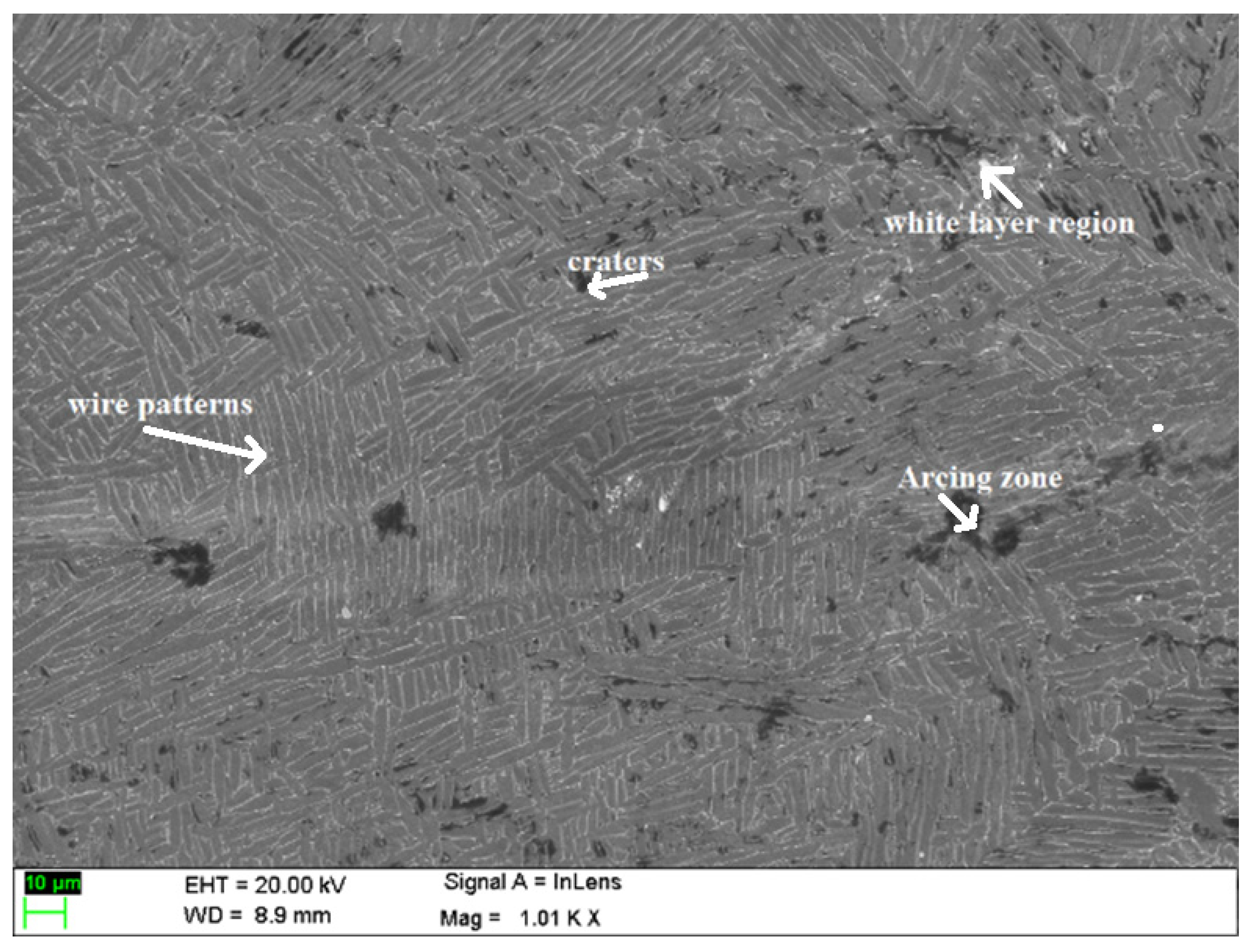 Coatings 12 01612 g004