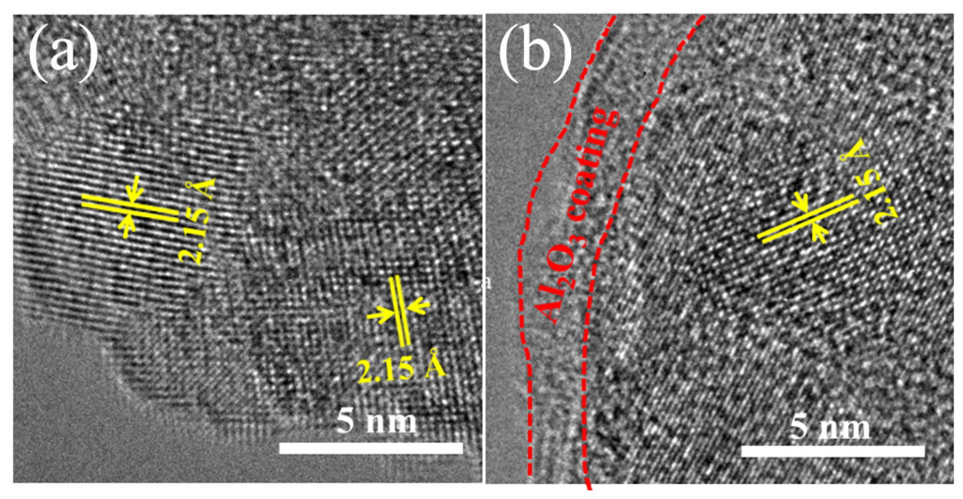 Coatings 12 01613 g005 Coatings 12 01613 g005