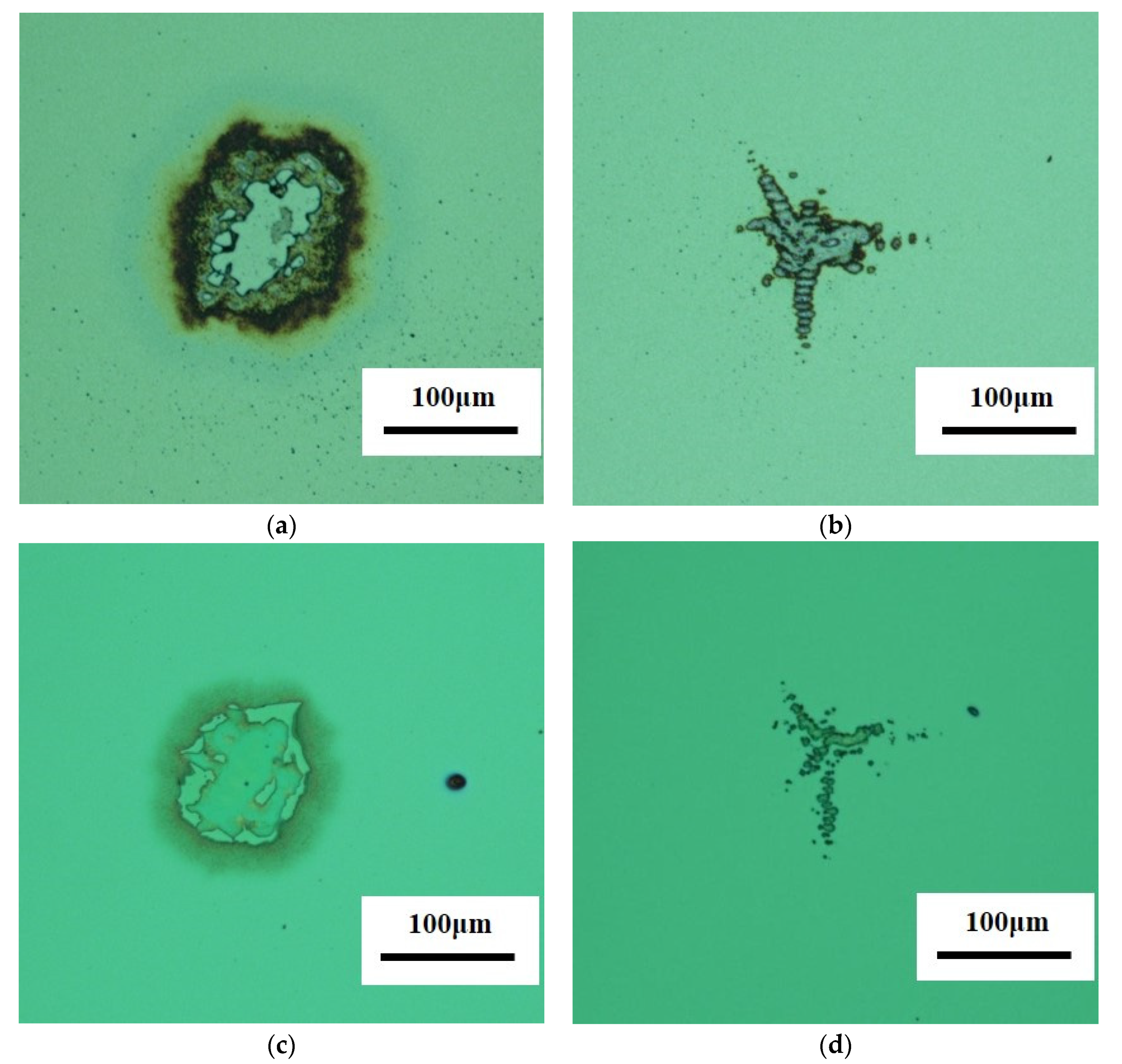 Coatings 12 01614 g008a 550
