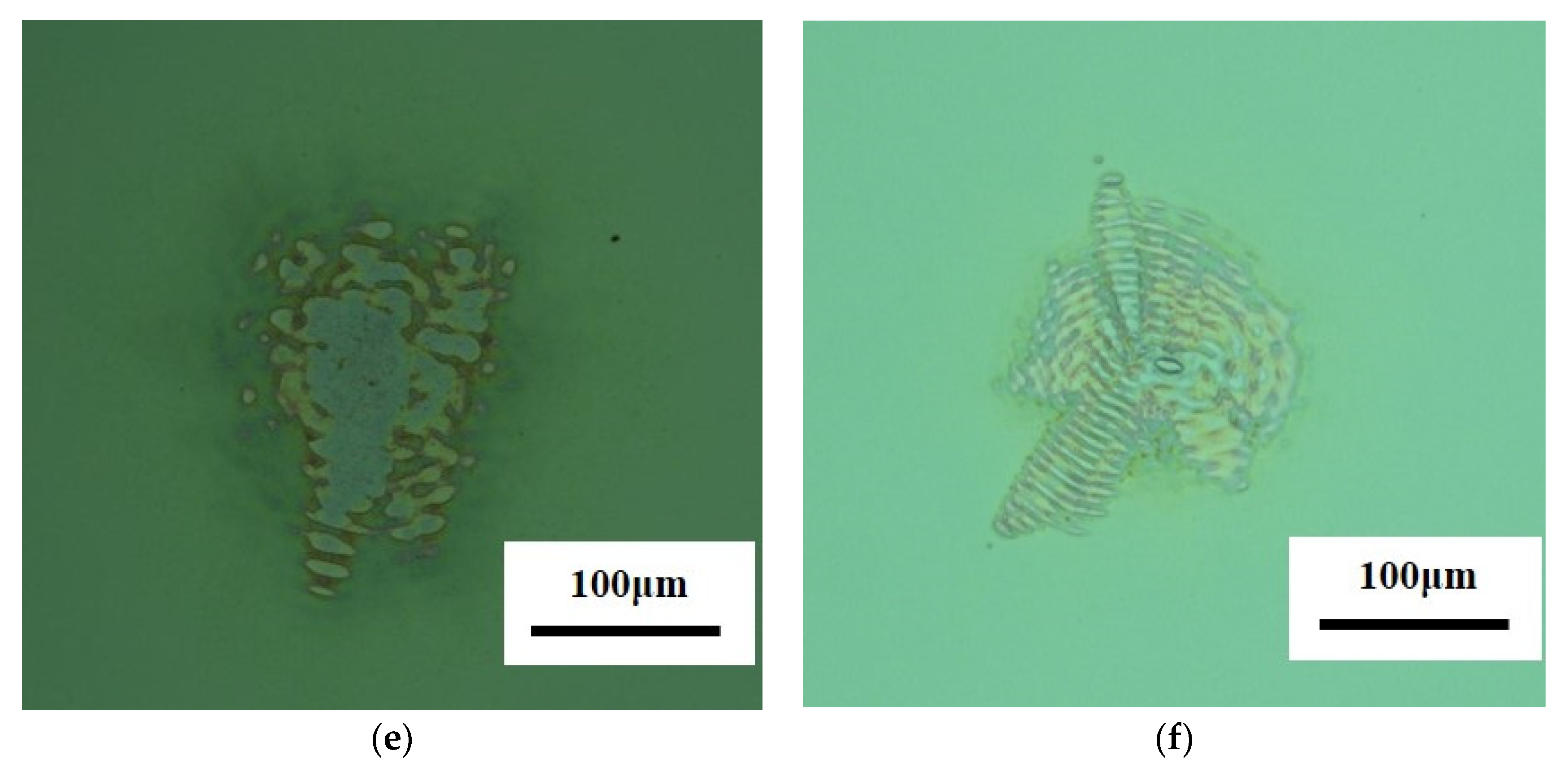 Coatings 12 01614 g008b 550