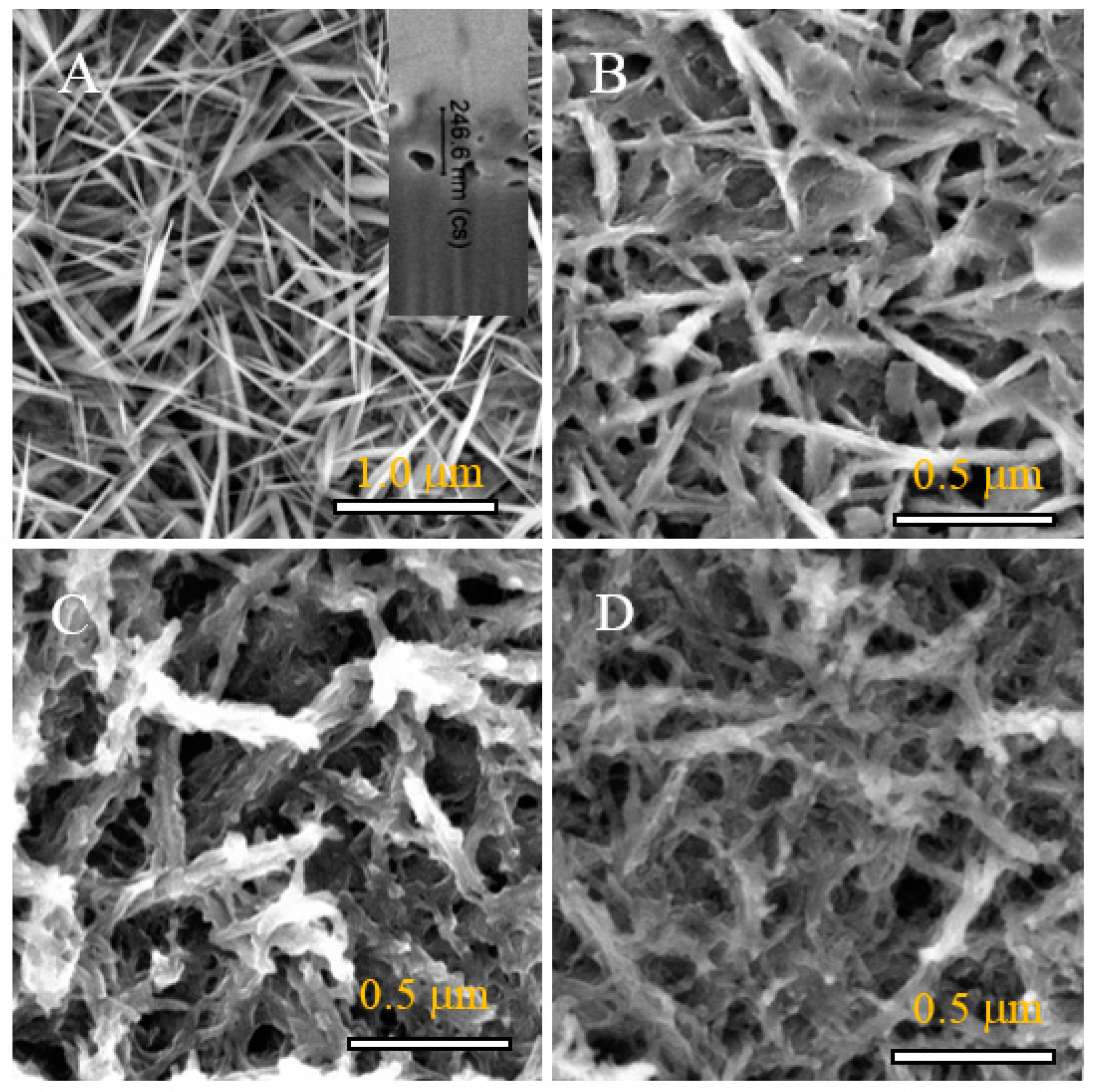 Coatings 12 01615 g002