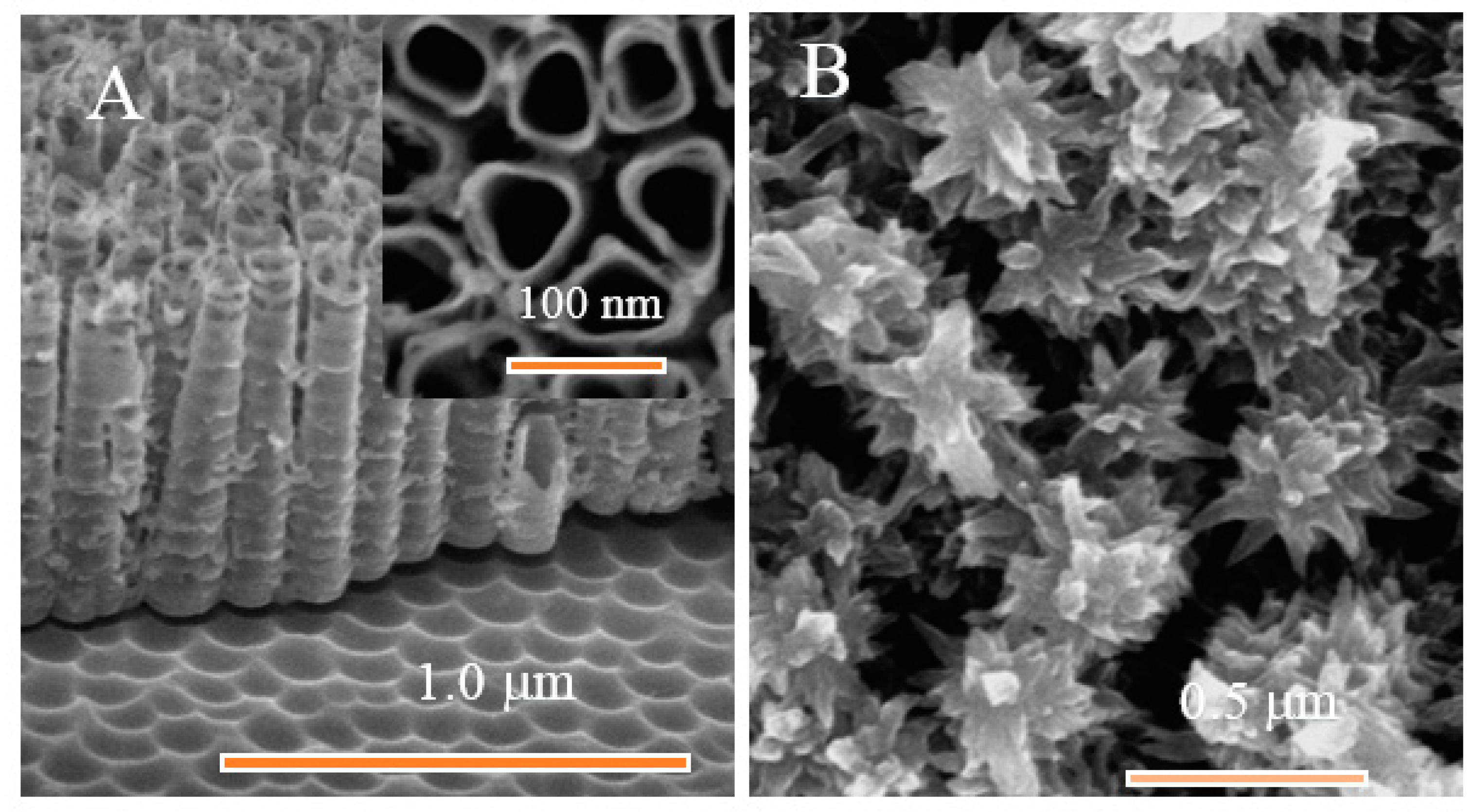 Coatings 12 01615 g003