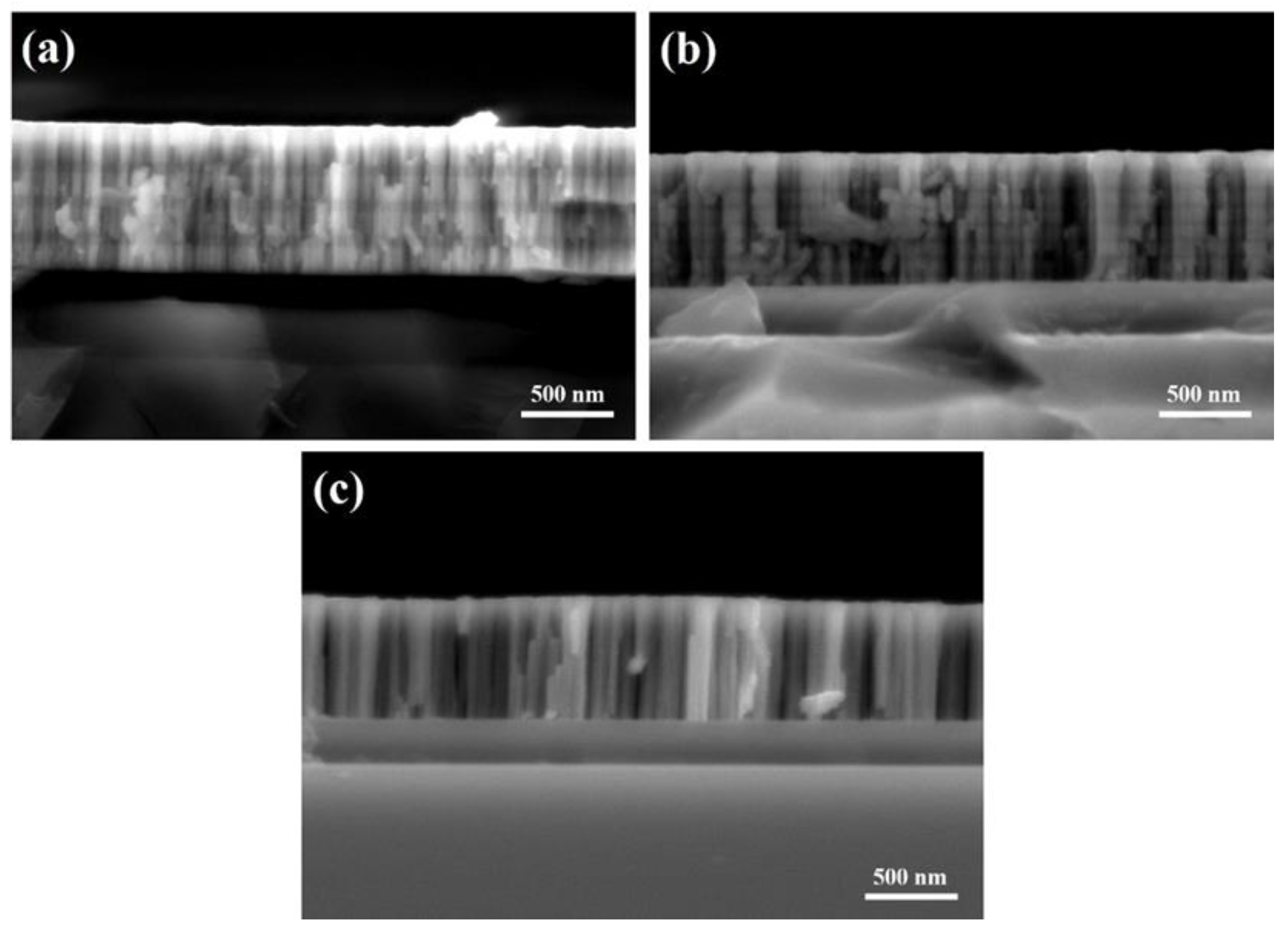 Coatings 12 01616 g004 Coatings 12 01616 g004