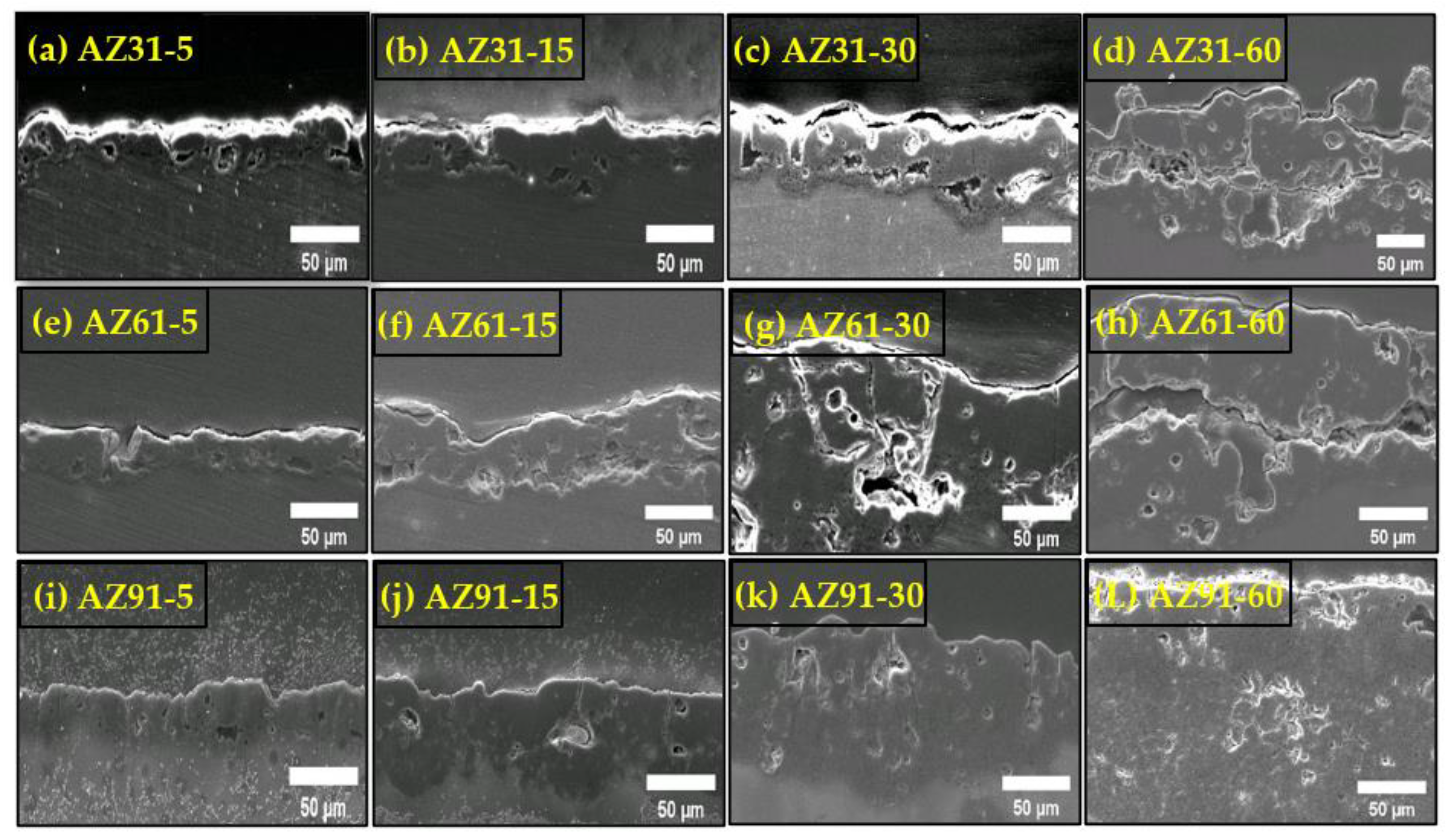 Coatings 12 01617 g003 Coatings 12 01617 g003