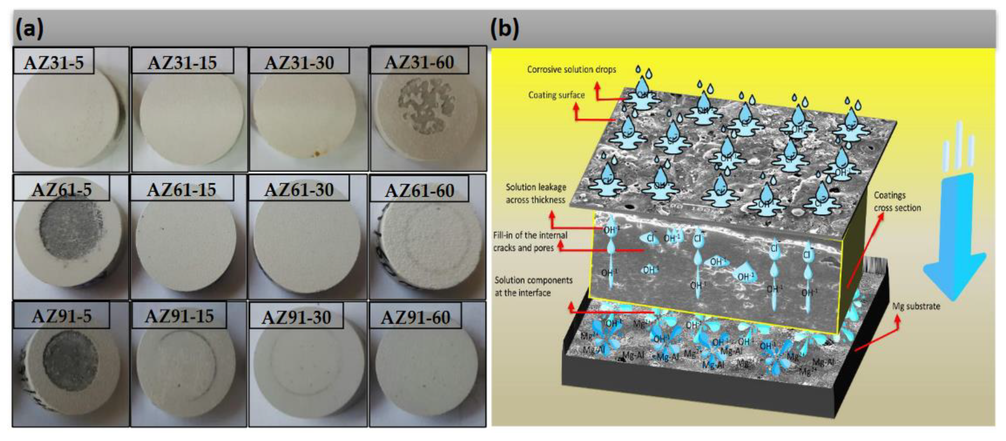 Coatings 12 01617 g008 Coatings 12 01617 g008