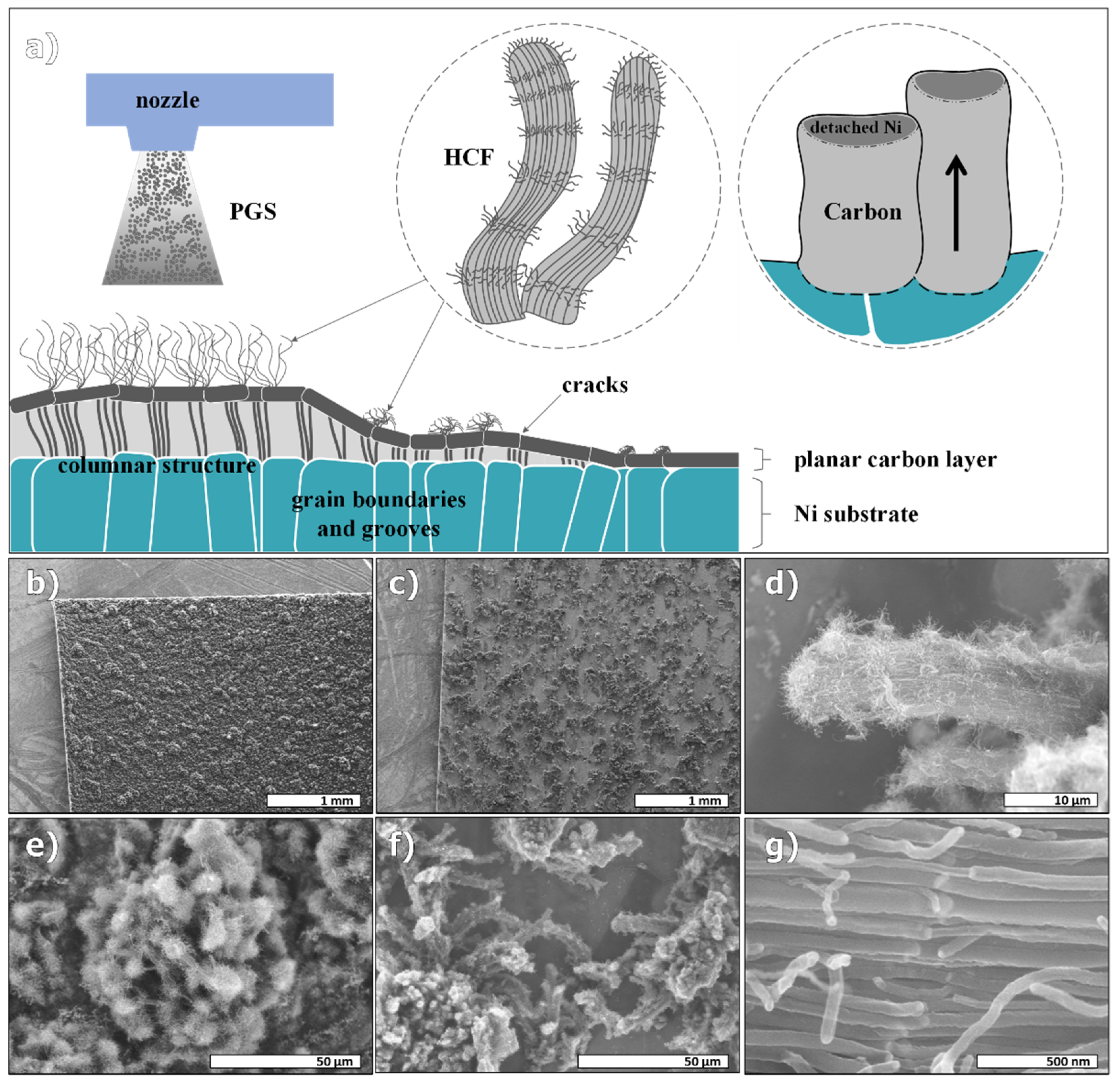 Coatings 12 01620 g002