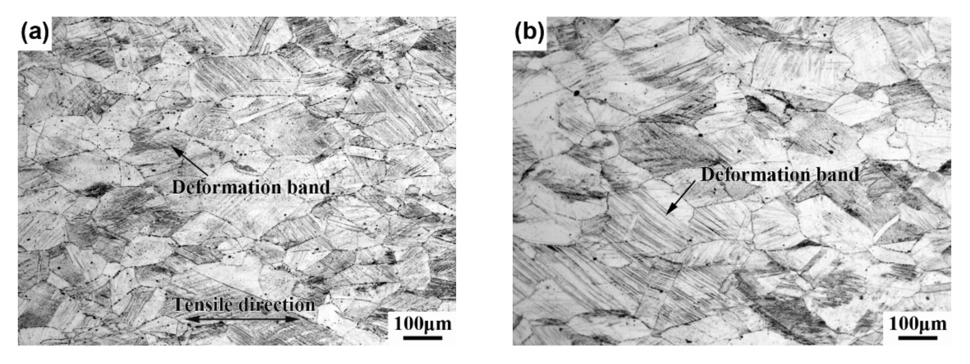 Coatings 12 01622 g003a 550