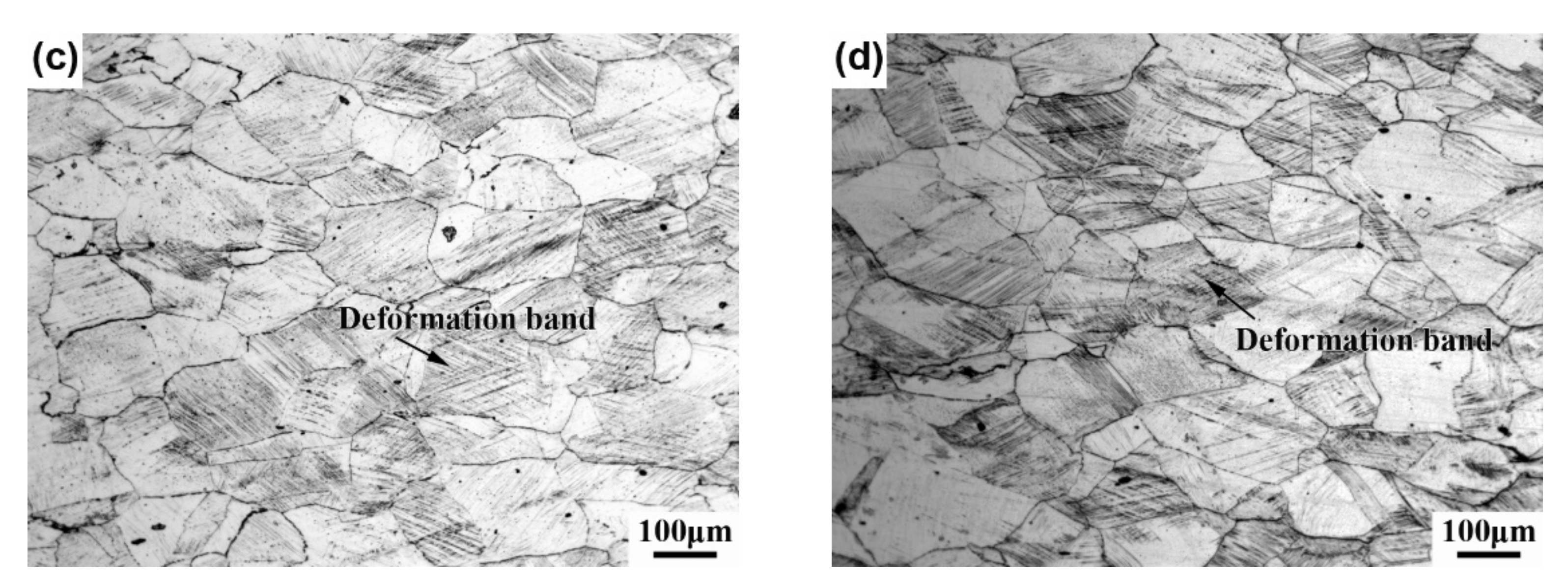 Coatings 12 01622 g003b 550