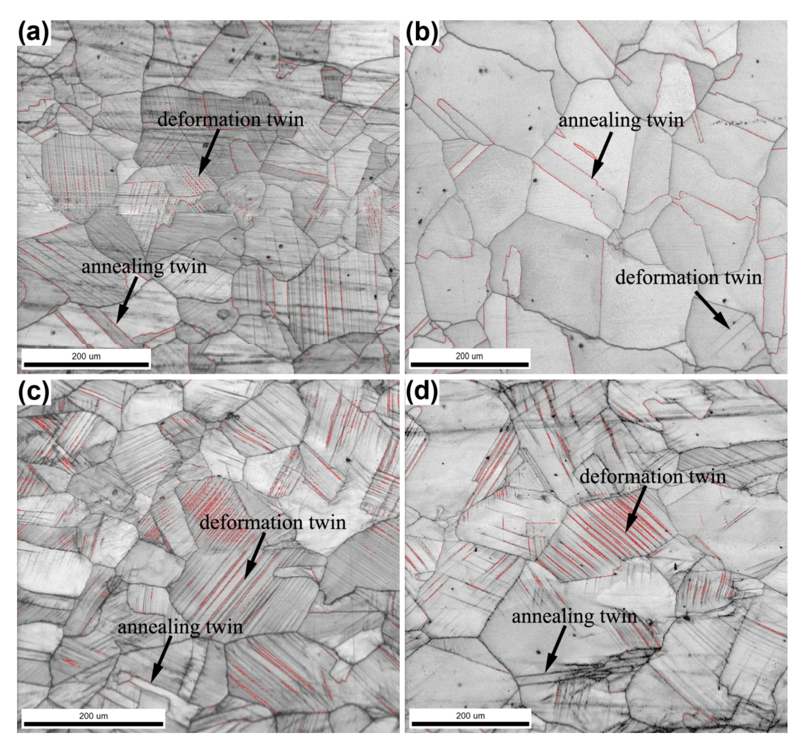 Coatings 12 01622 g006 550