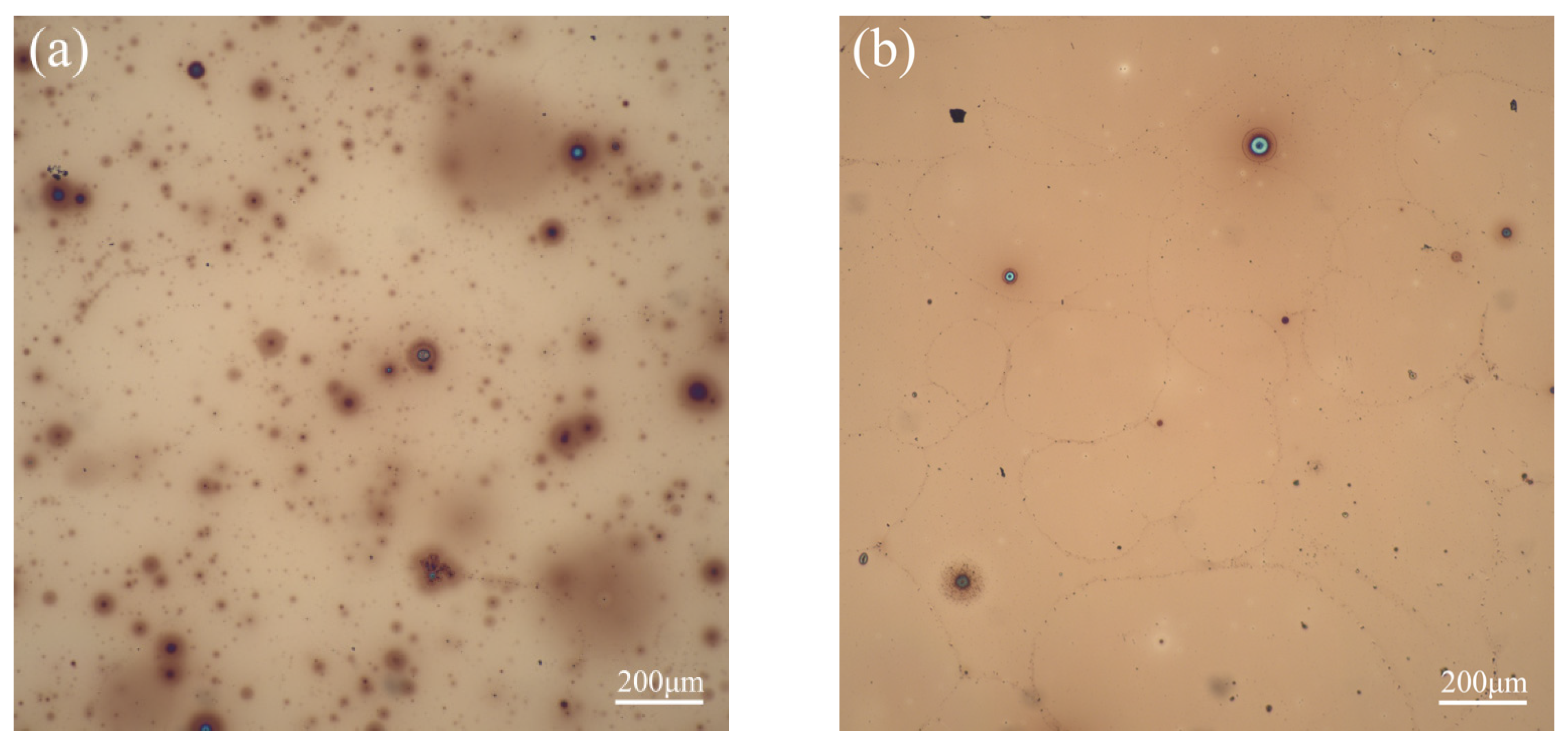 Coatings 12 01624 g003a Coatings 12 01624 g003a