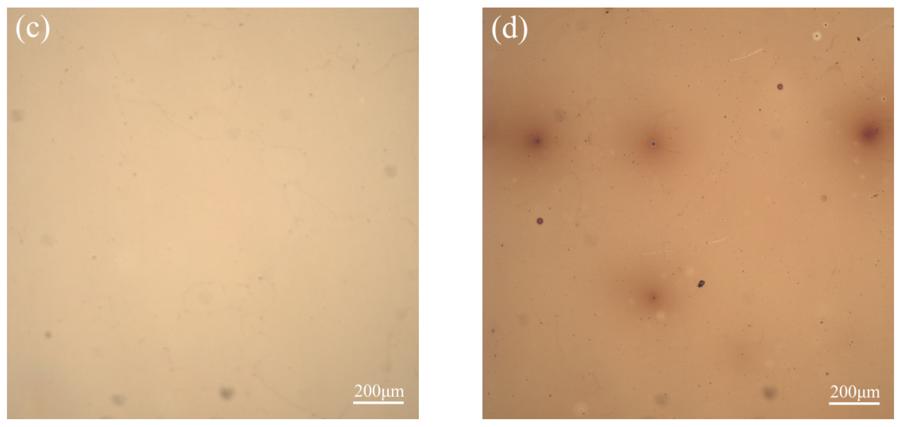 Coatings 12 01624 g003b Coatings 12 01624 g003b