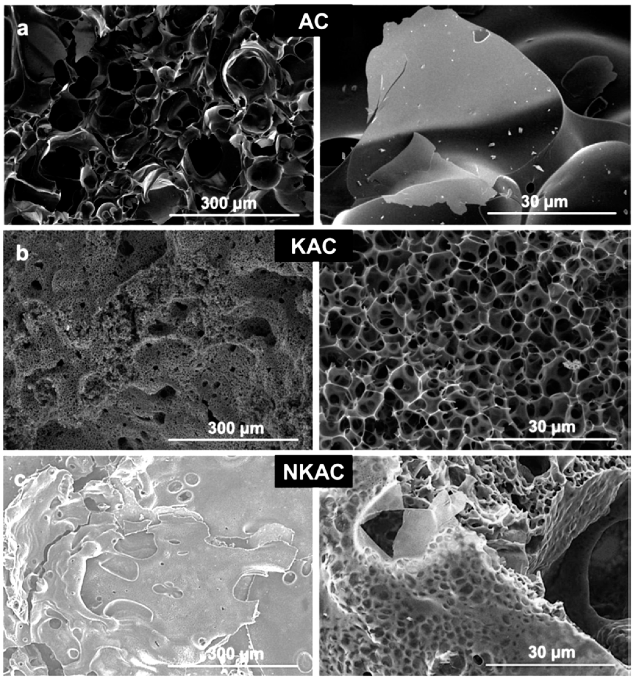 Coatings 12 01625 g004