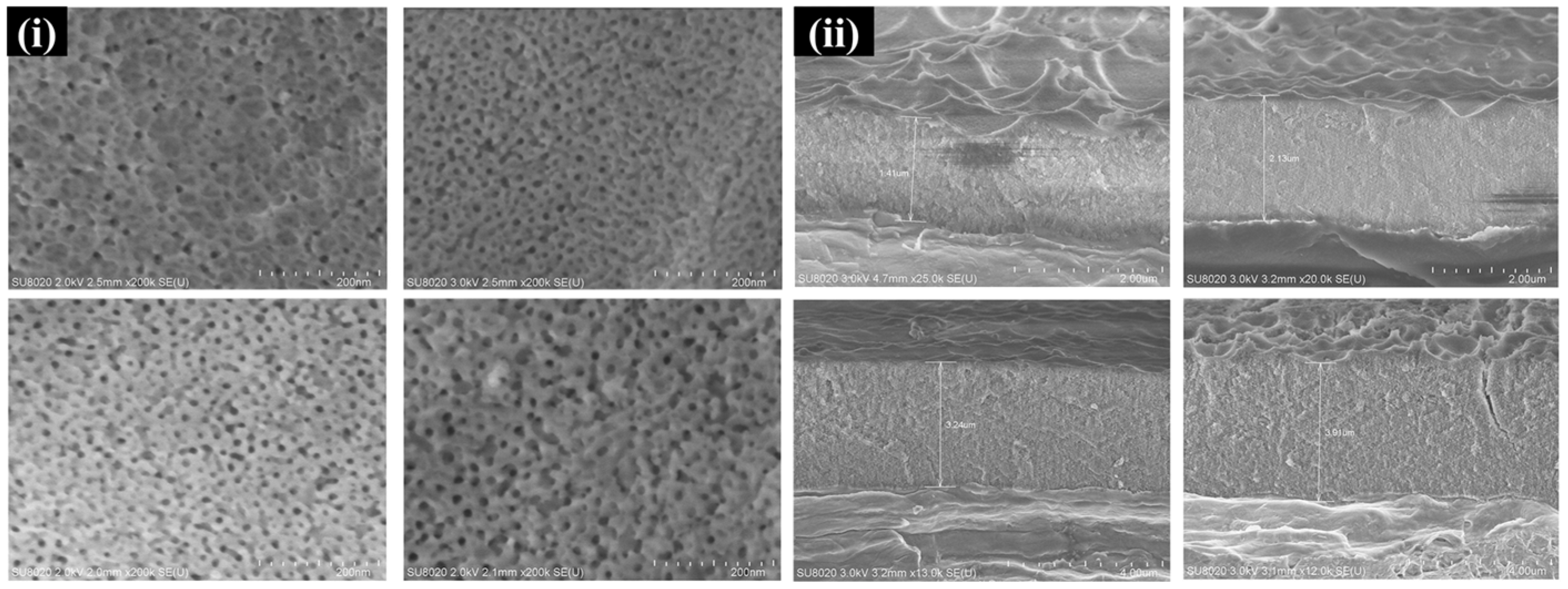 Coatings 12 01625 g006