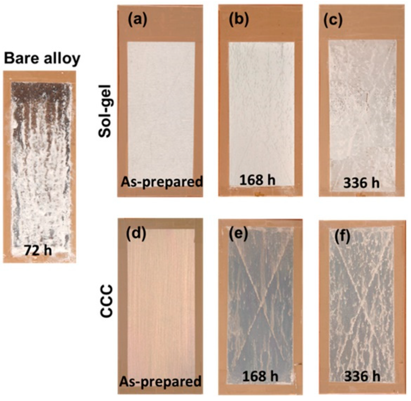 Coatings 12 01625 g008