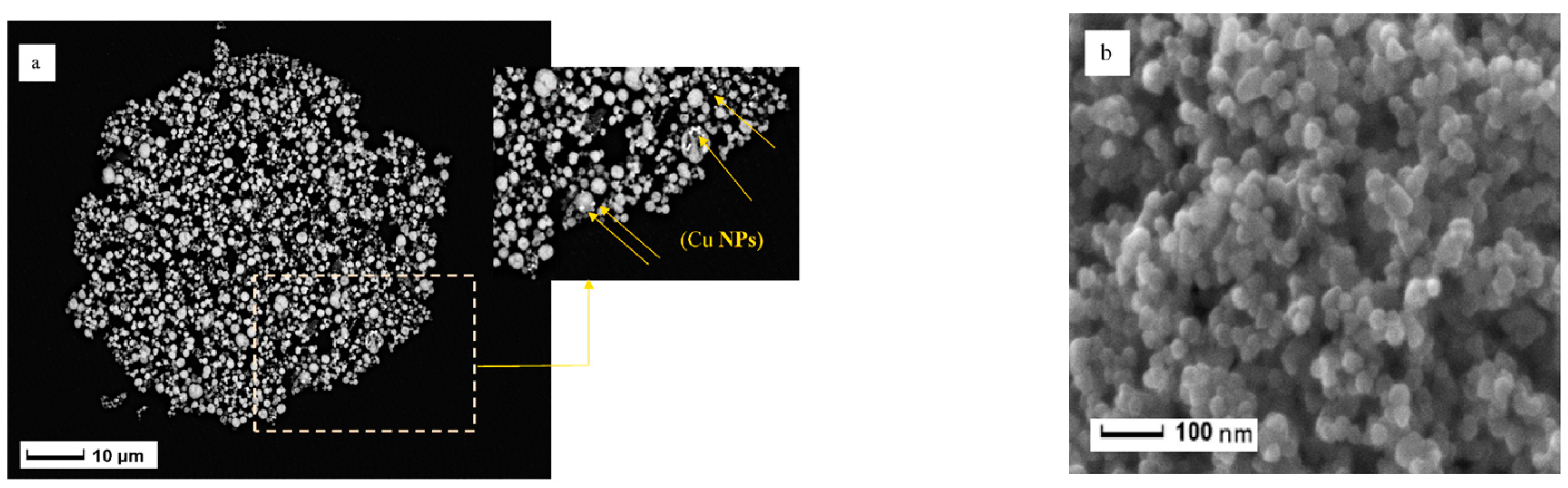 Coatings 12 01625 g011