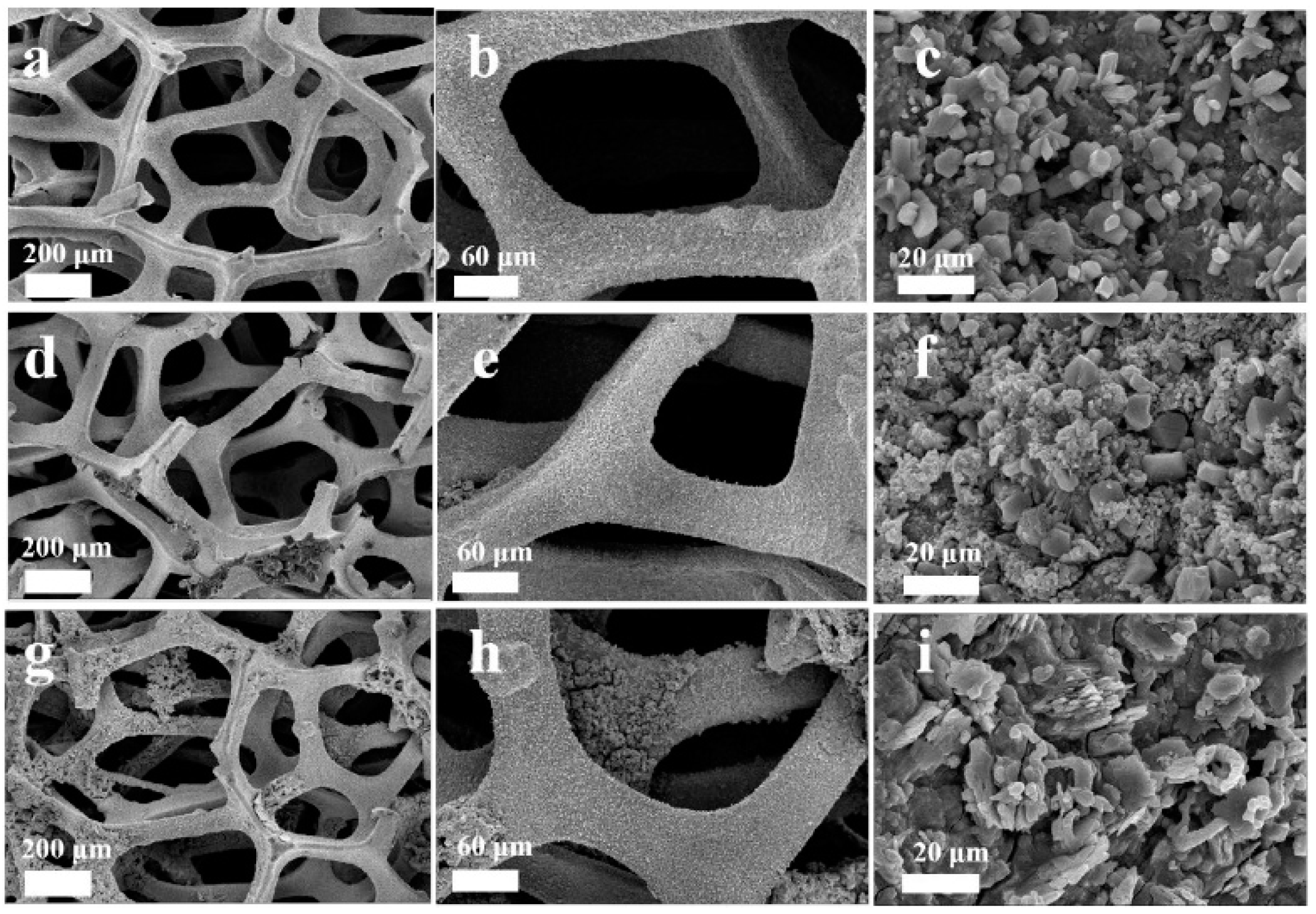Coatings 12 01625 g014