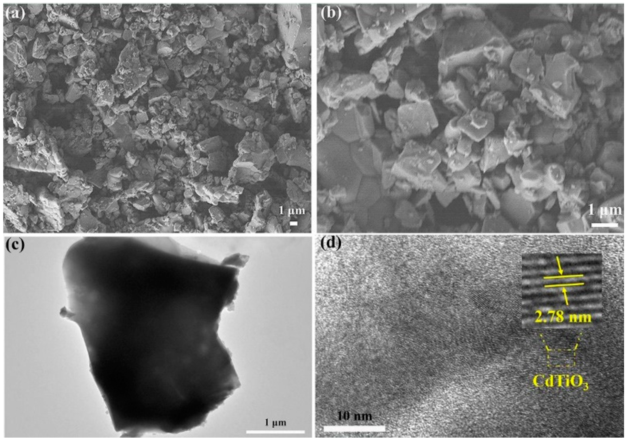 Coatings 12 01625 g018