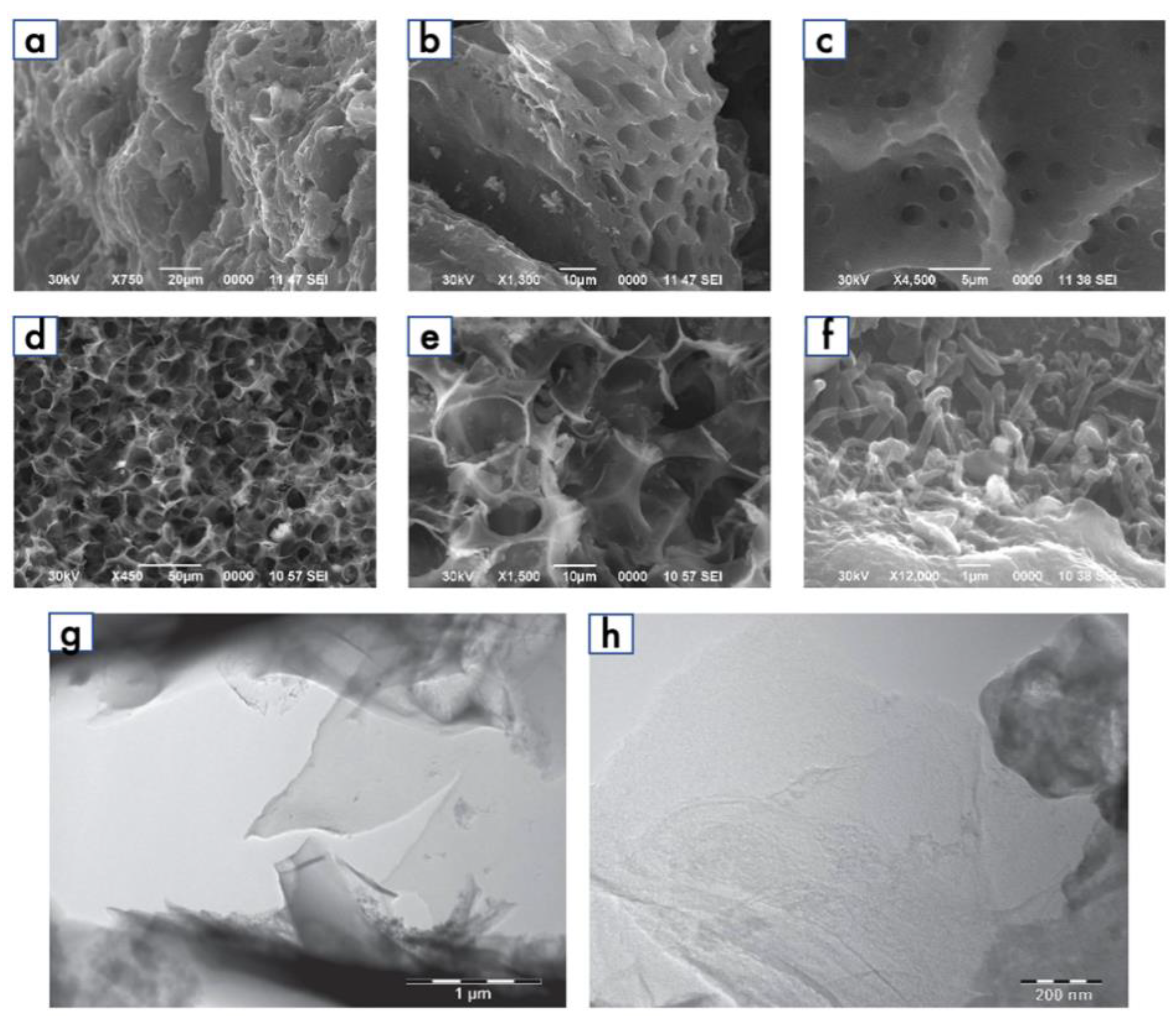 Coatings 12 01629 g003