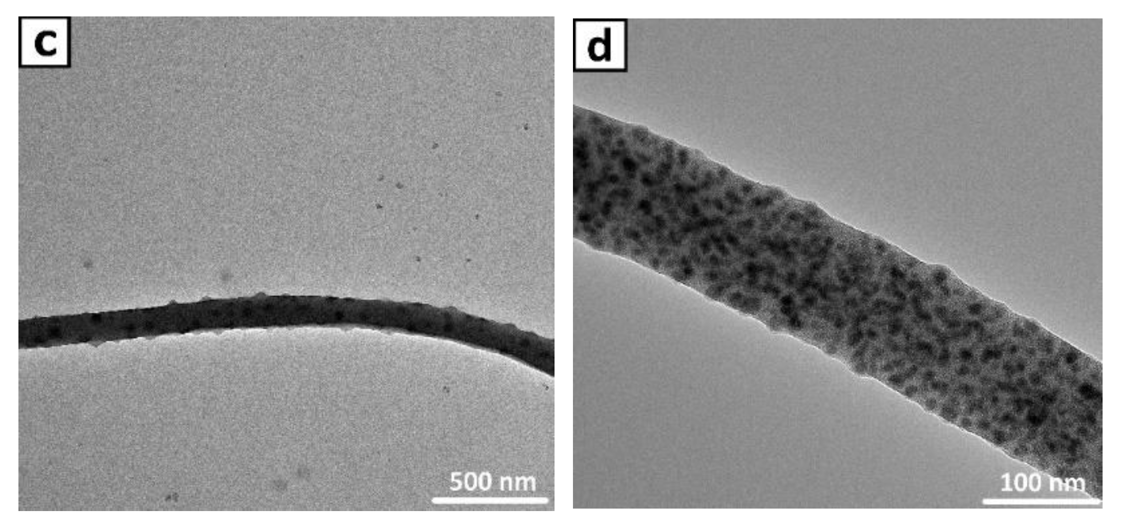 Coatings 12 01629 g005b