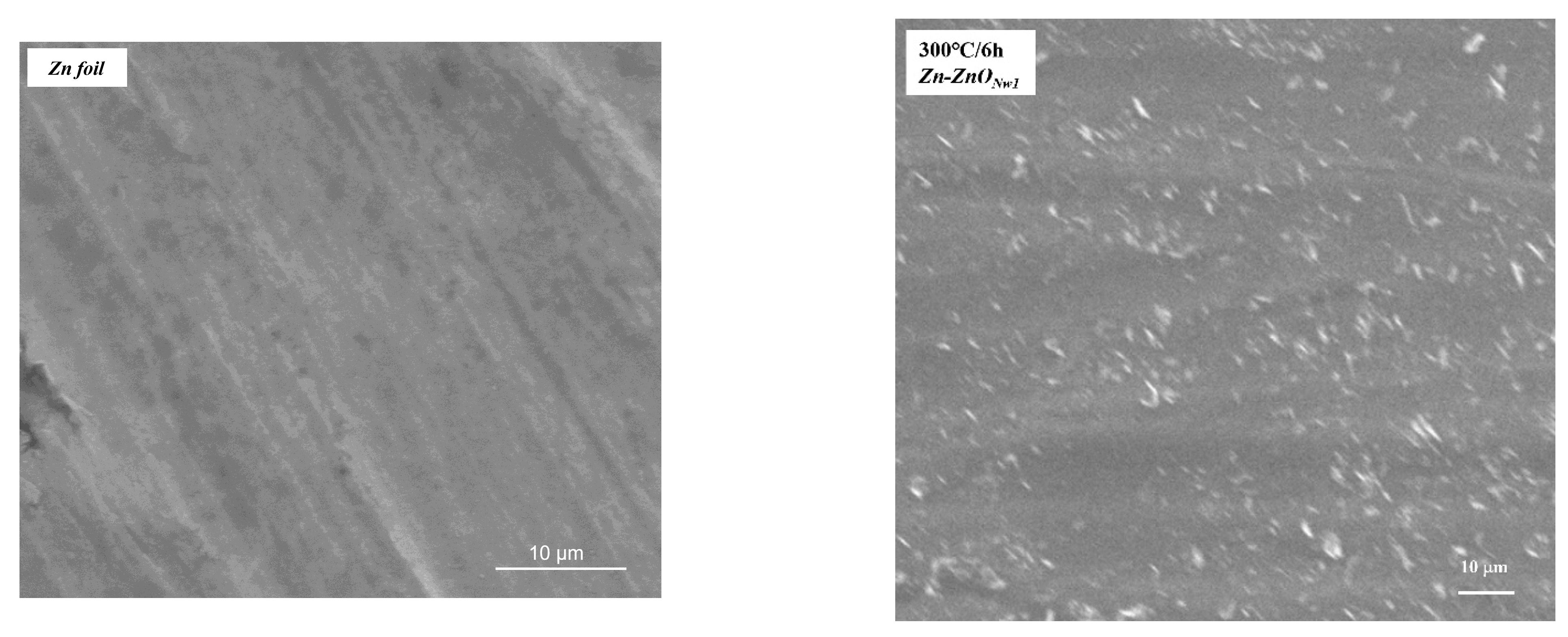 Coatings 12 01630 g004a