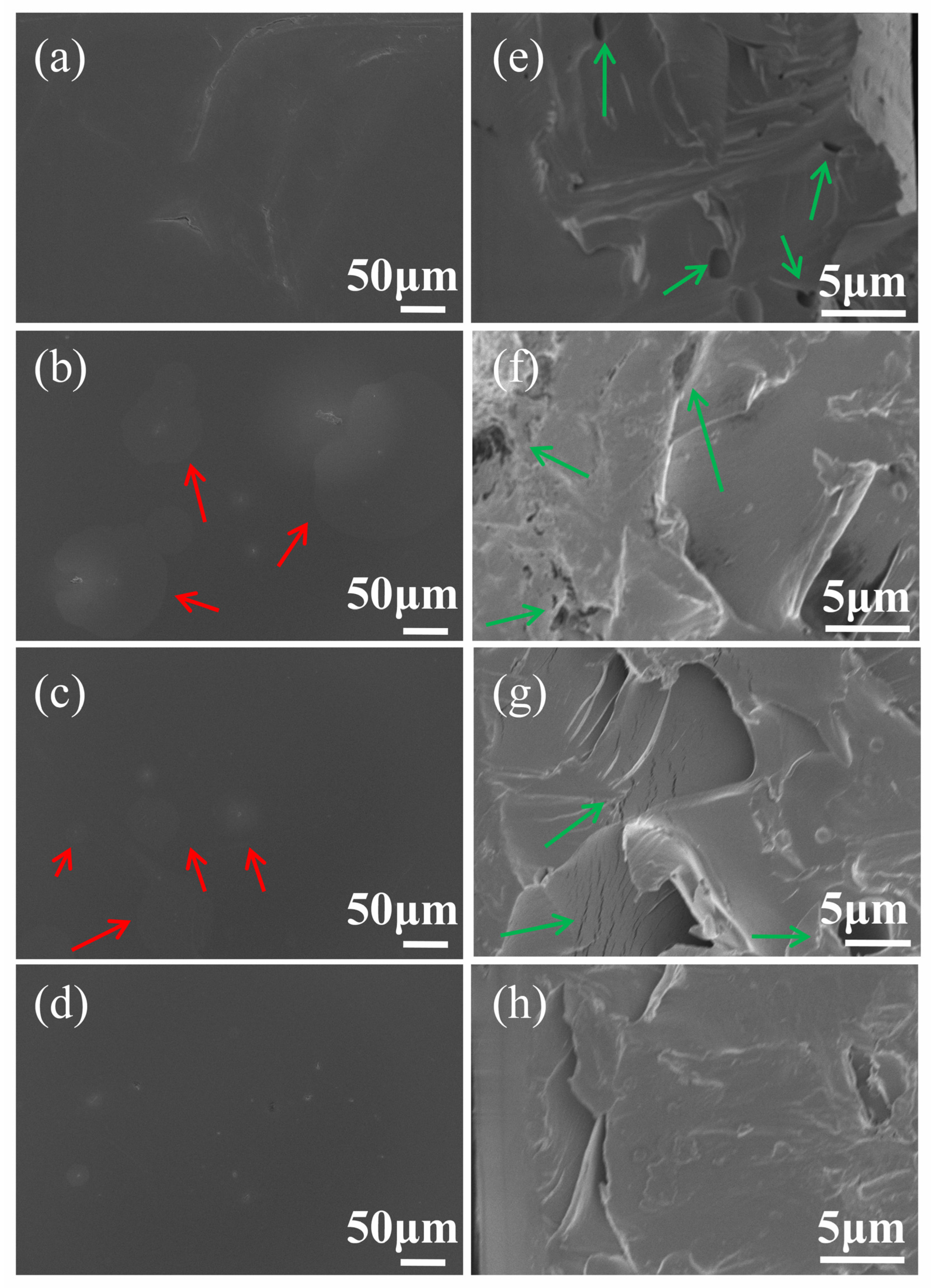 Coatings 12 01631 g012