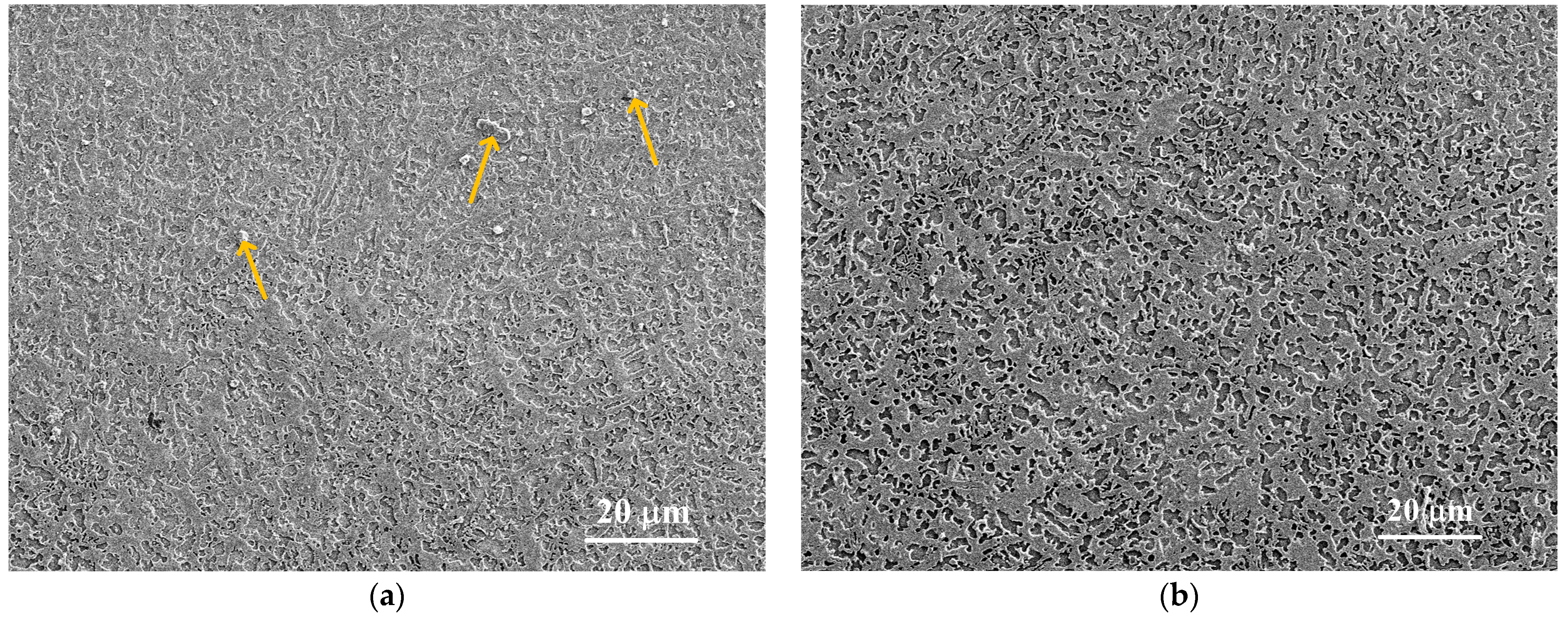 Coatings 12 01632 g007a Coatings 12 01632 g007a
