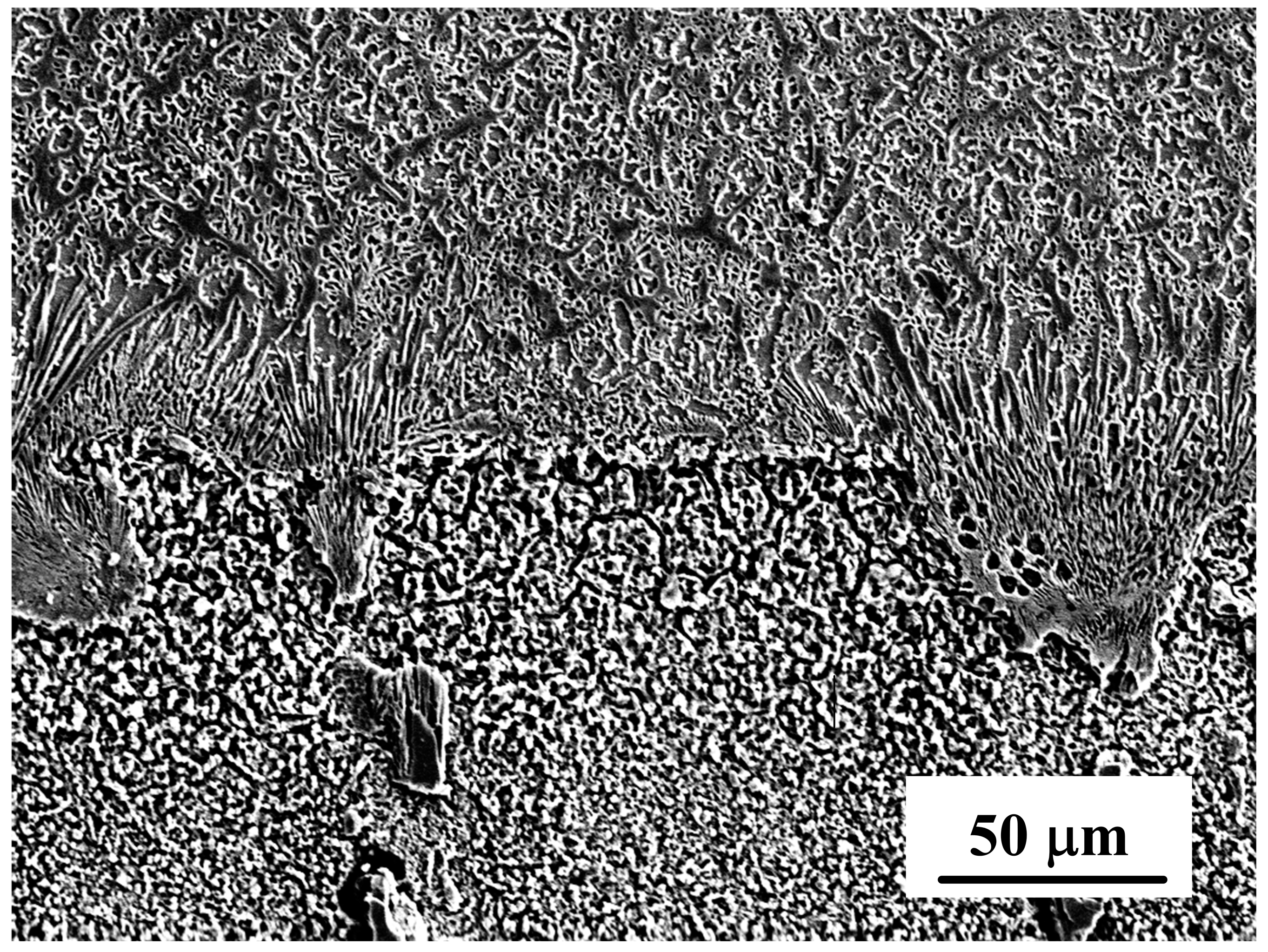 Coatings 12 01632 g010 Coatings 12 01632 g010