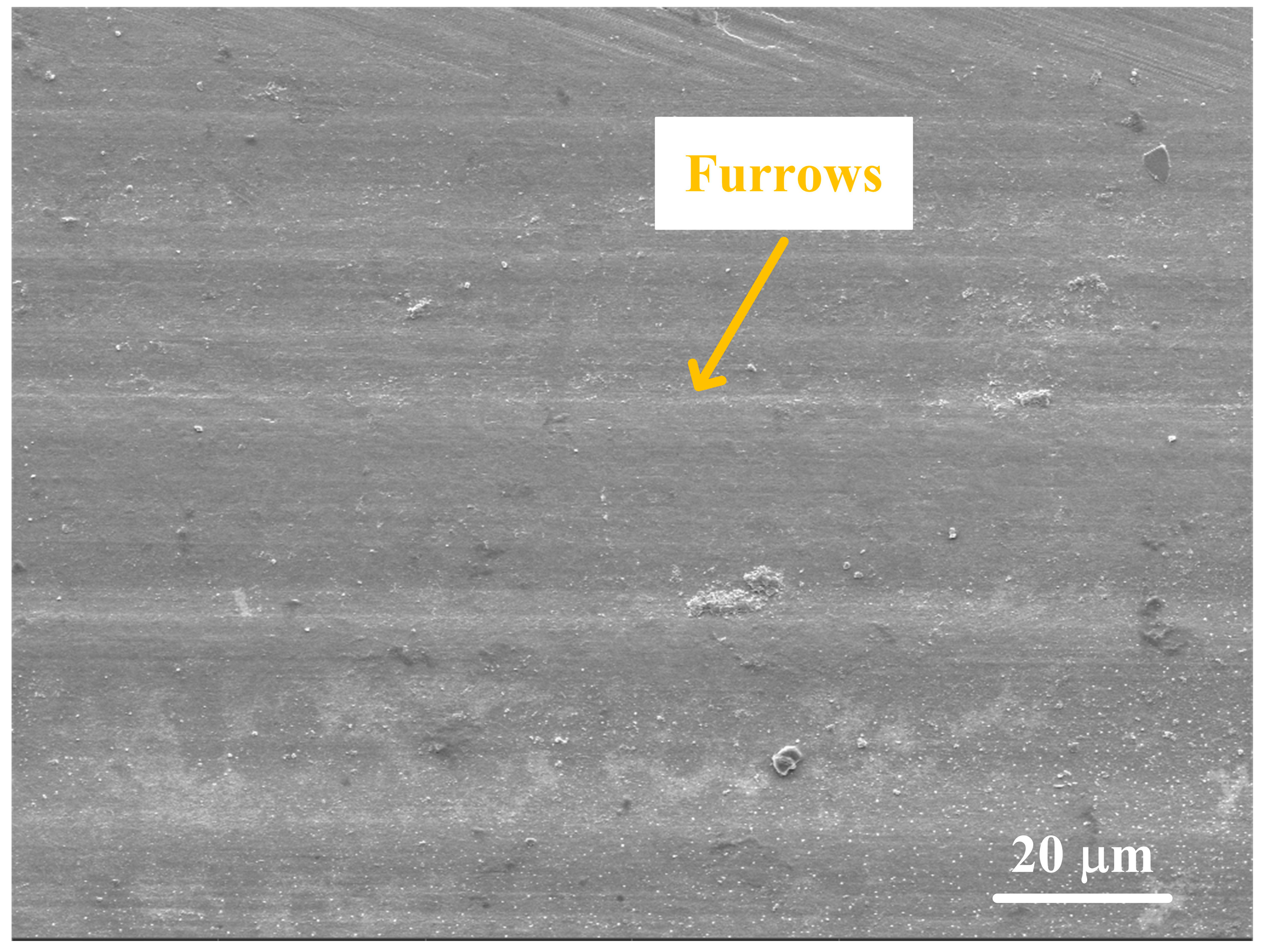Coatings 12 01632 g014 Coatings 12 01632 g014