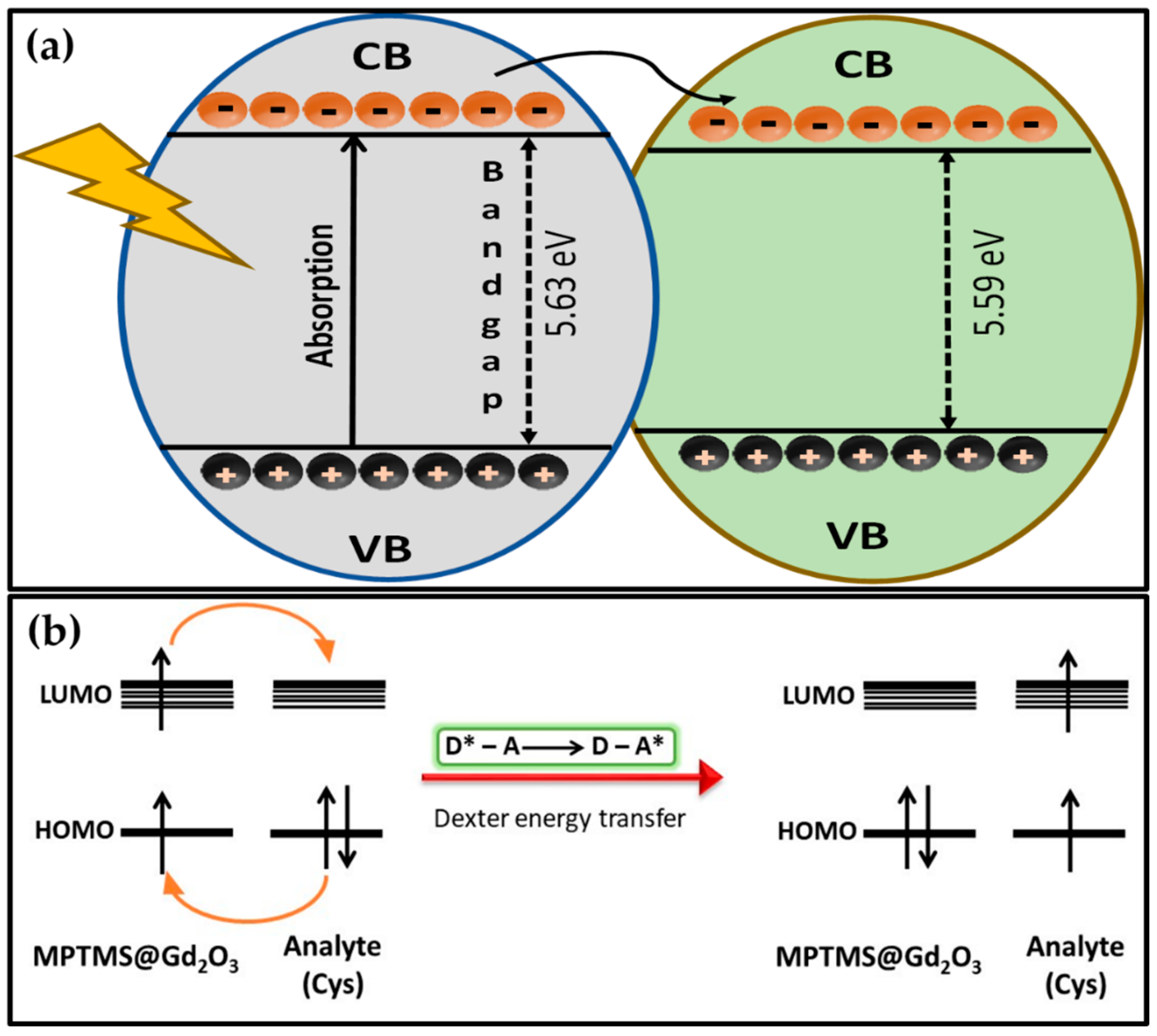 Coatings 12 01636 g006