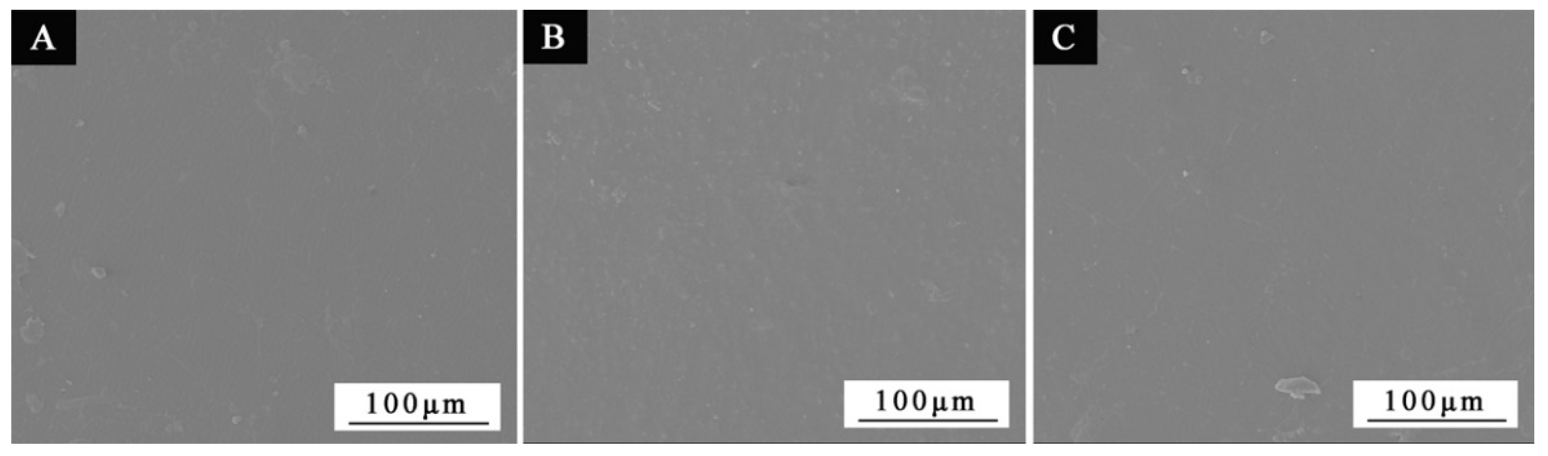 Coatings 12 01642 g002