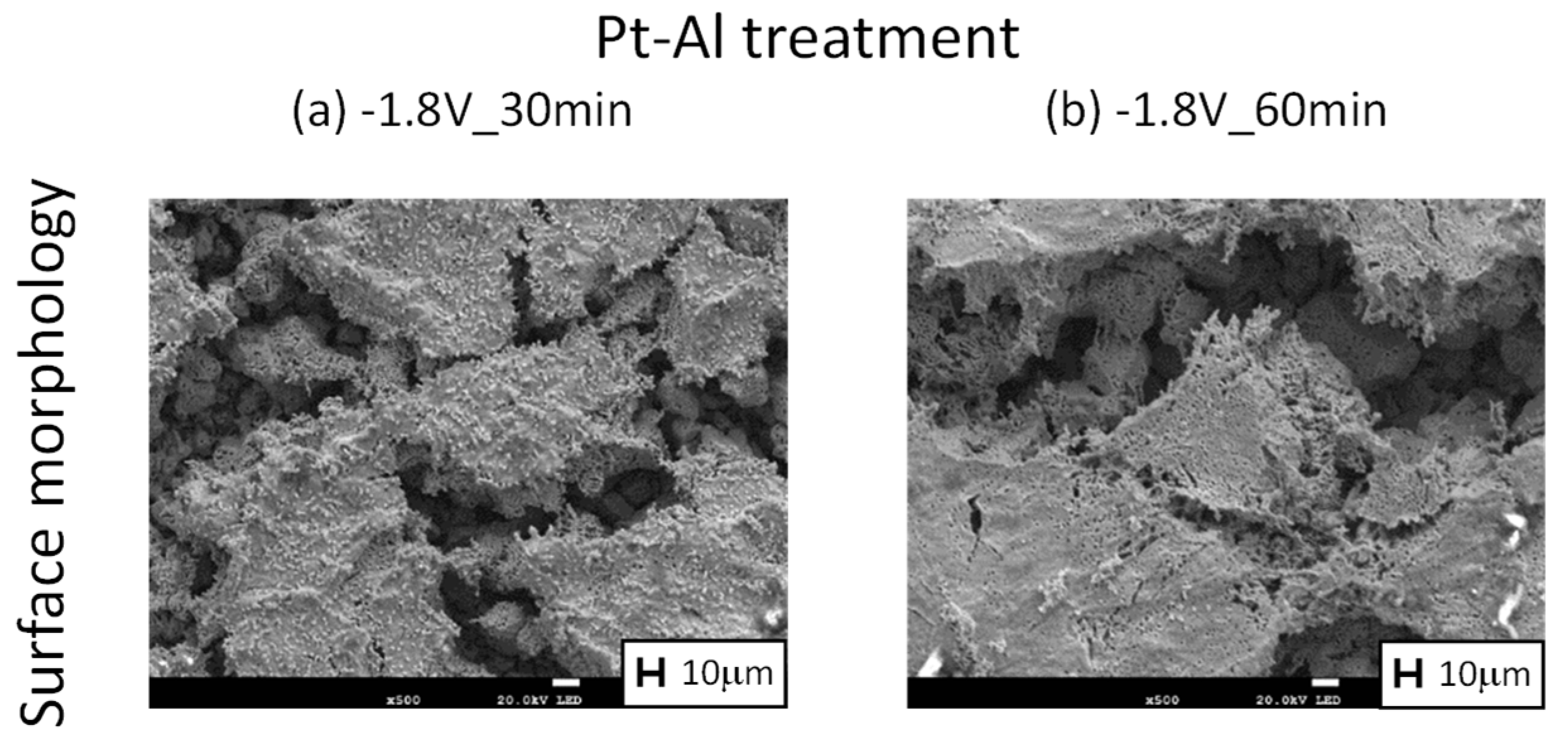 Coatings 12 01645 g006