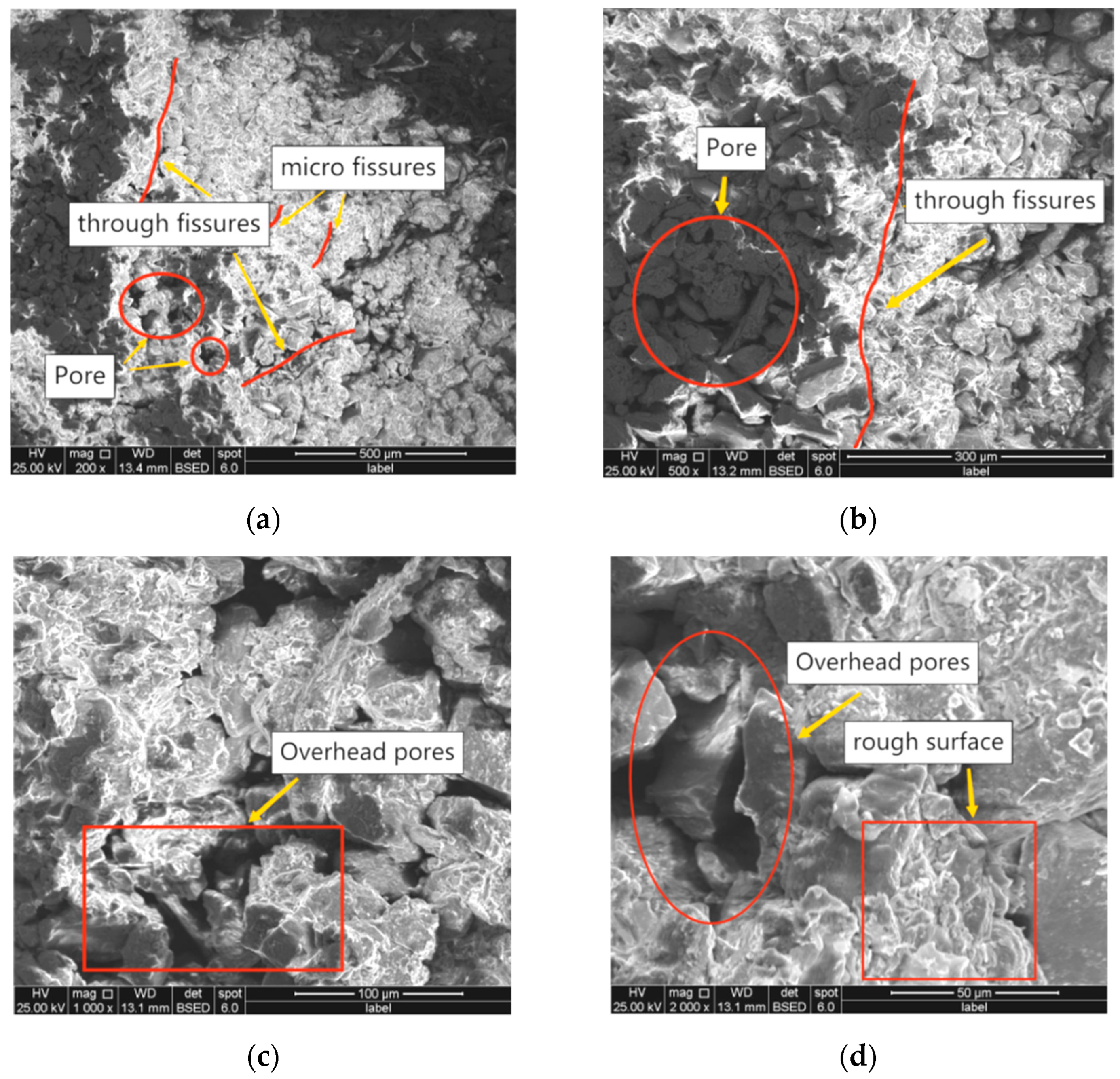 Coatings 12 01647 g007